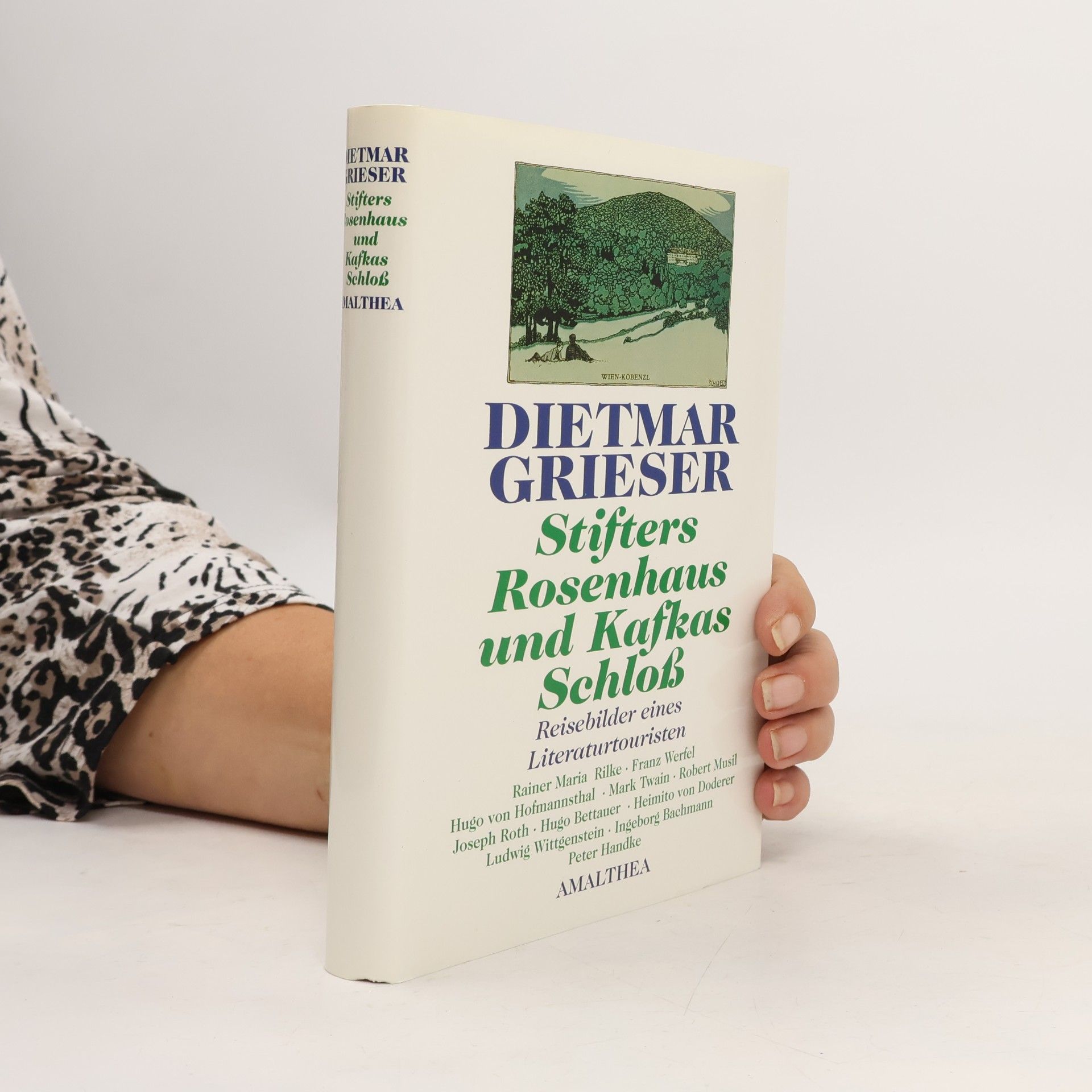 Dietmar Grieser Stifters Rosenhaus und Kafkas Schloss