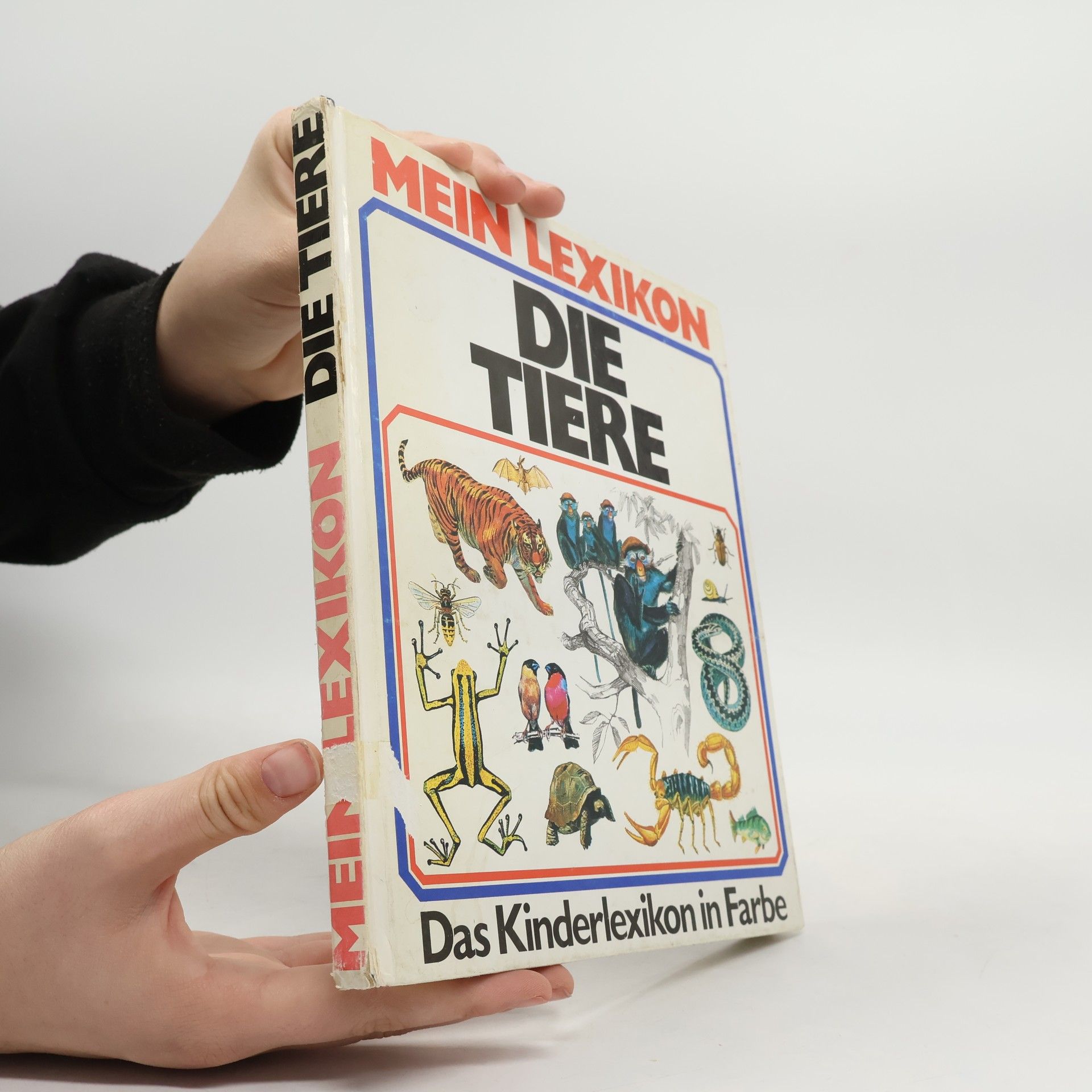 kolektiv Mein Lexikon. Die Tiere