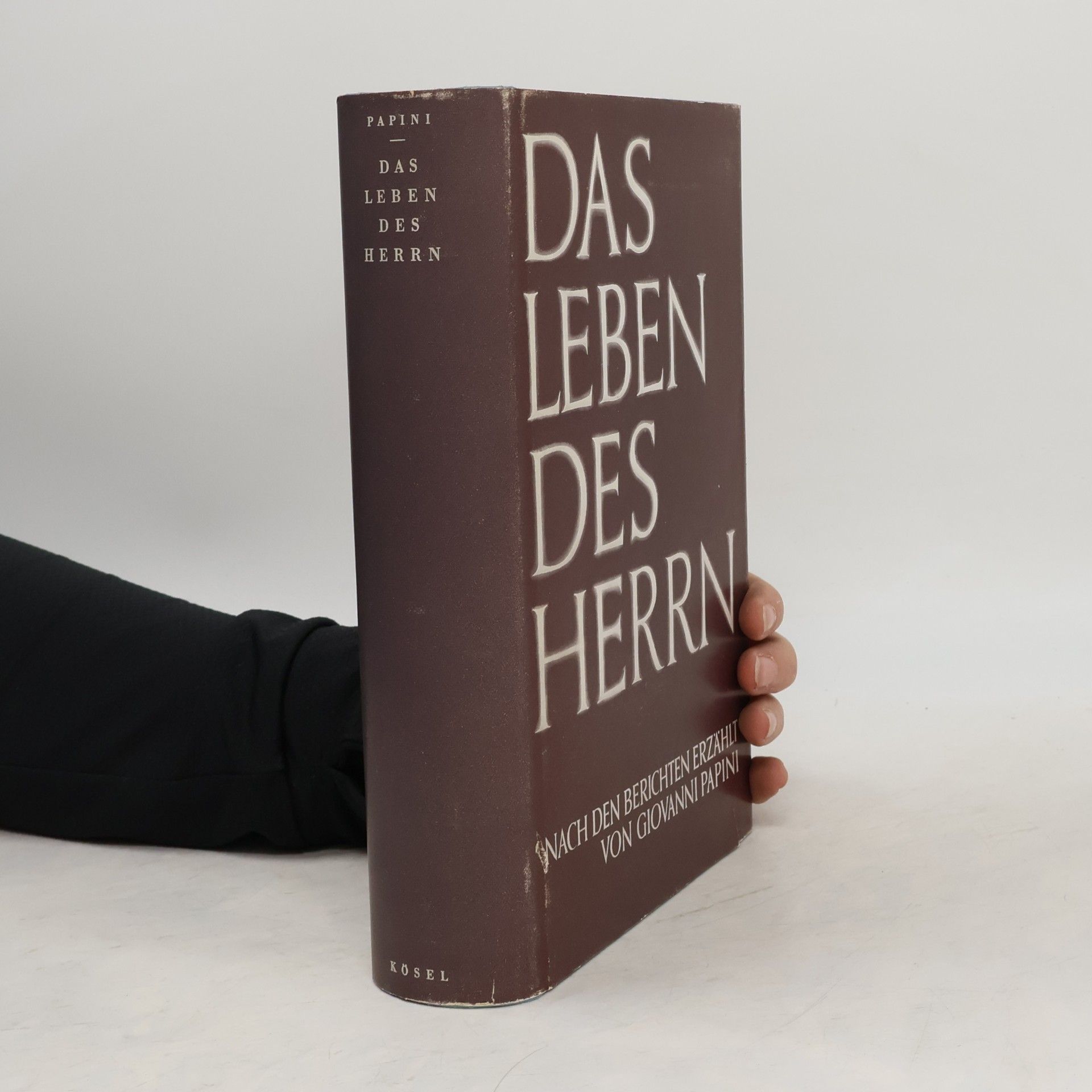 Giovanni Papini Das Leben des Herrn