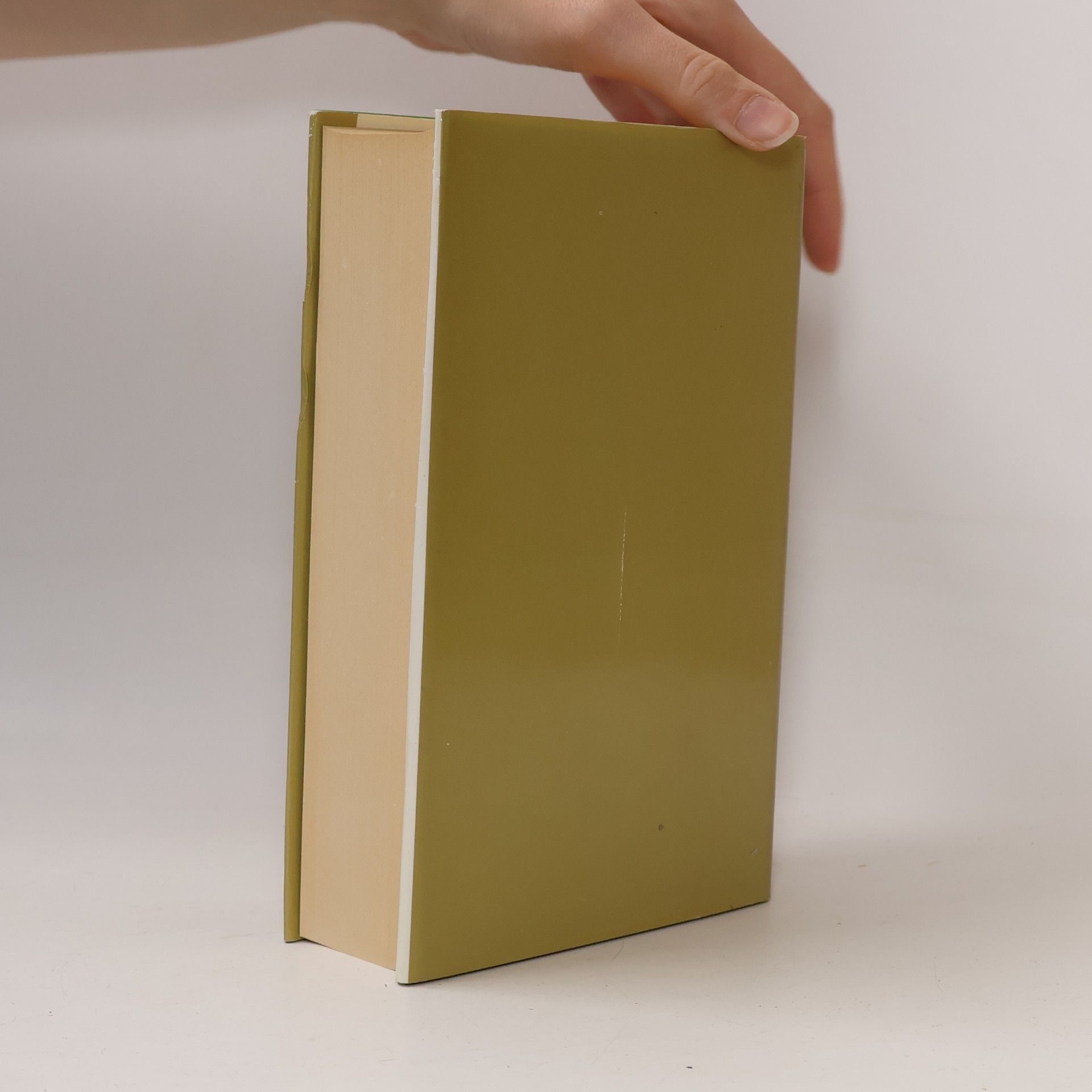 Wolfgang Hütt Albrecht Dürer 1471 bis 1528: Das gesamte graphische Werk. Band 2: Druckgraphik