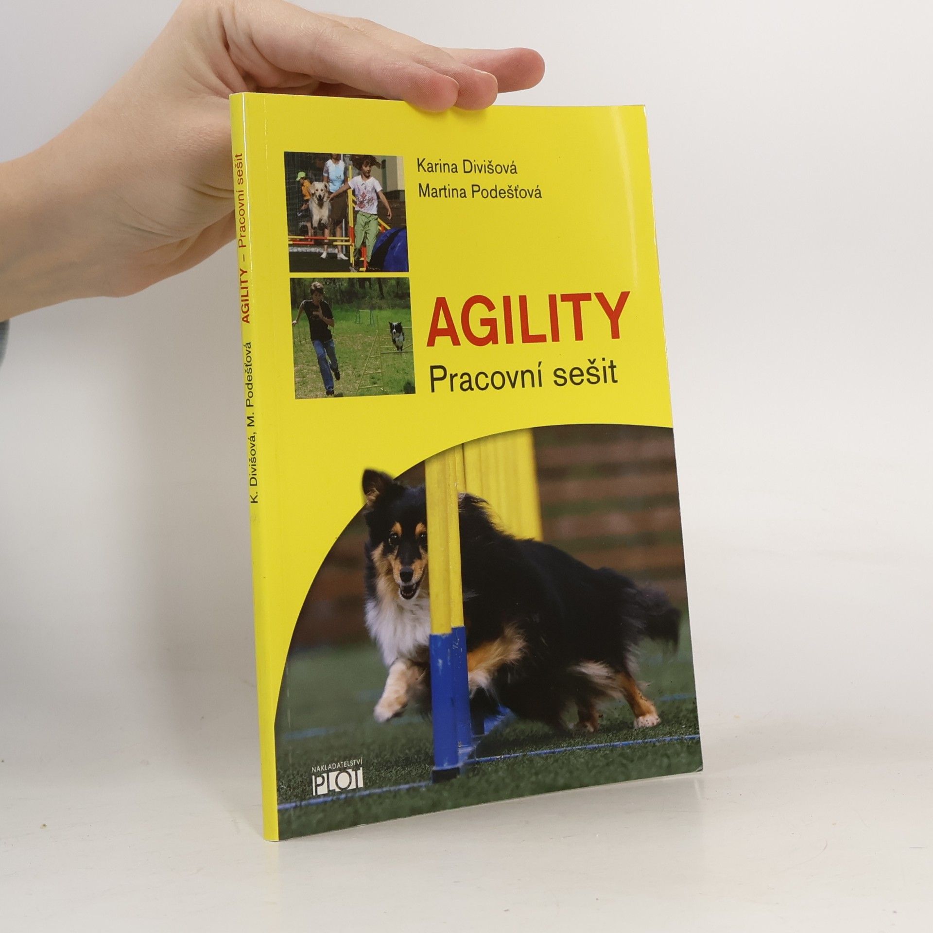 Agility - Pracovní sešit