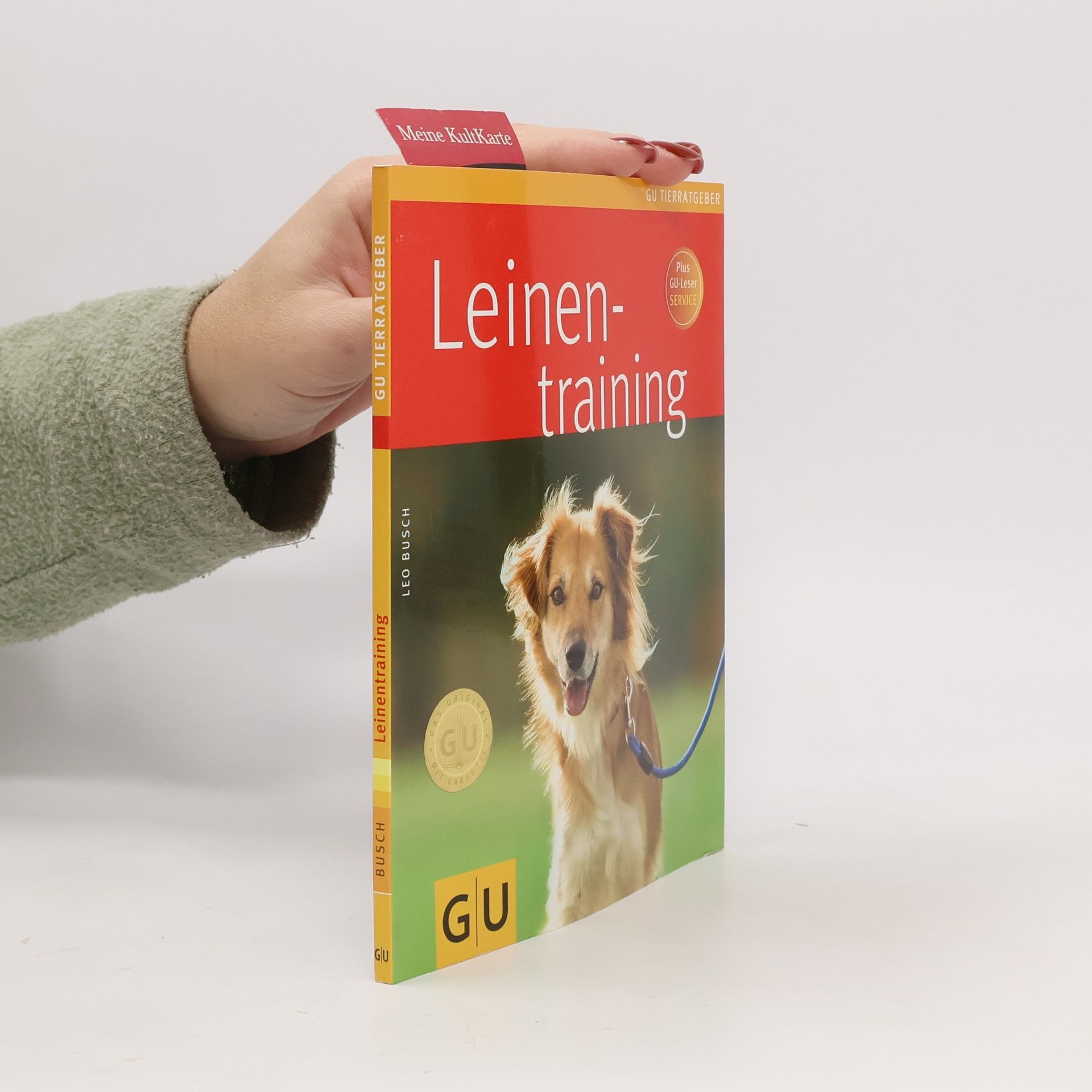 Leinentraining