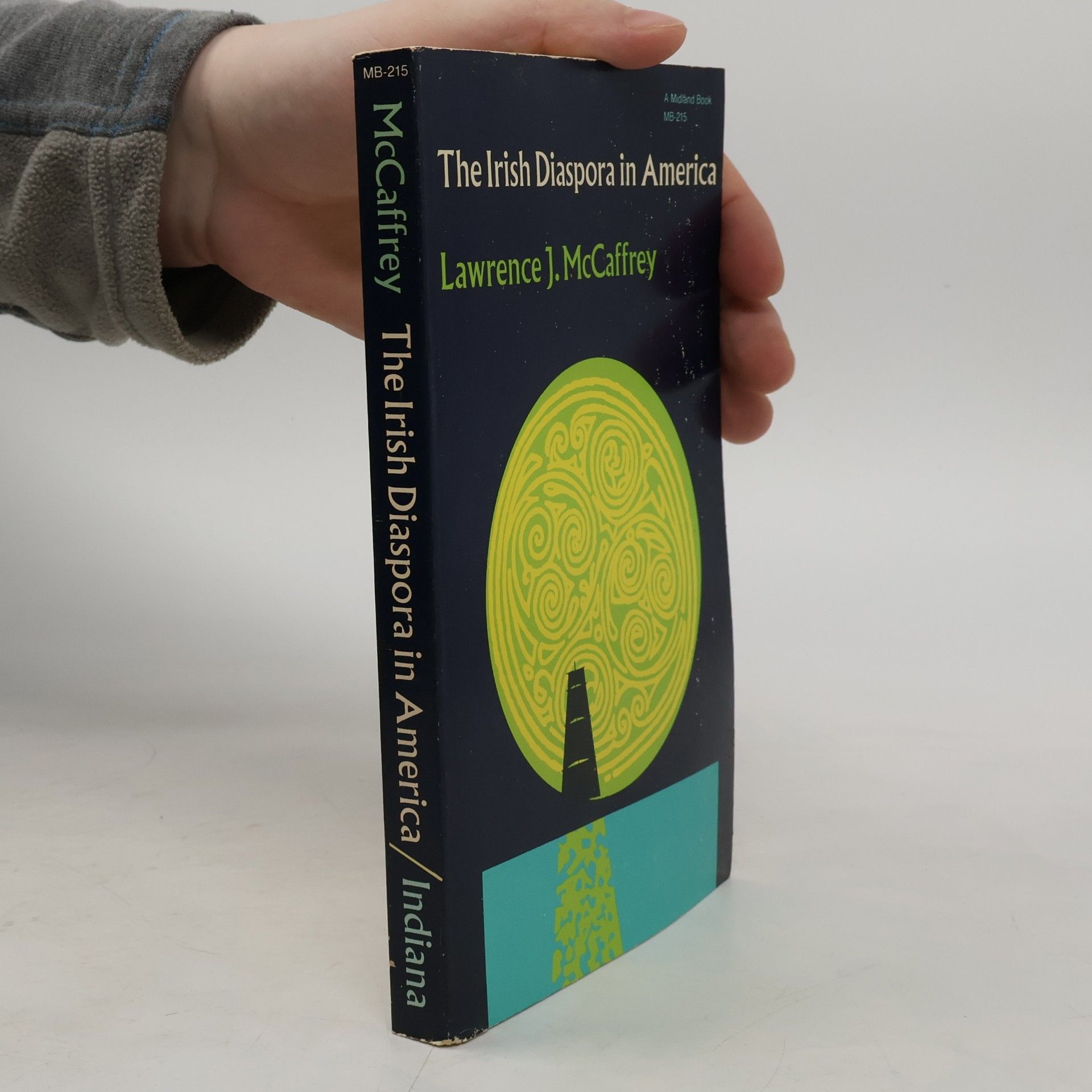 The Irish Diaspora in America