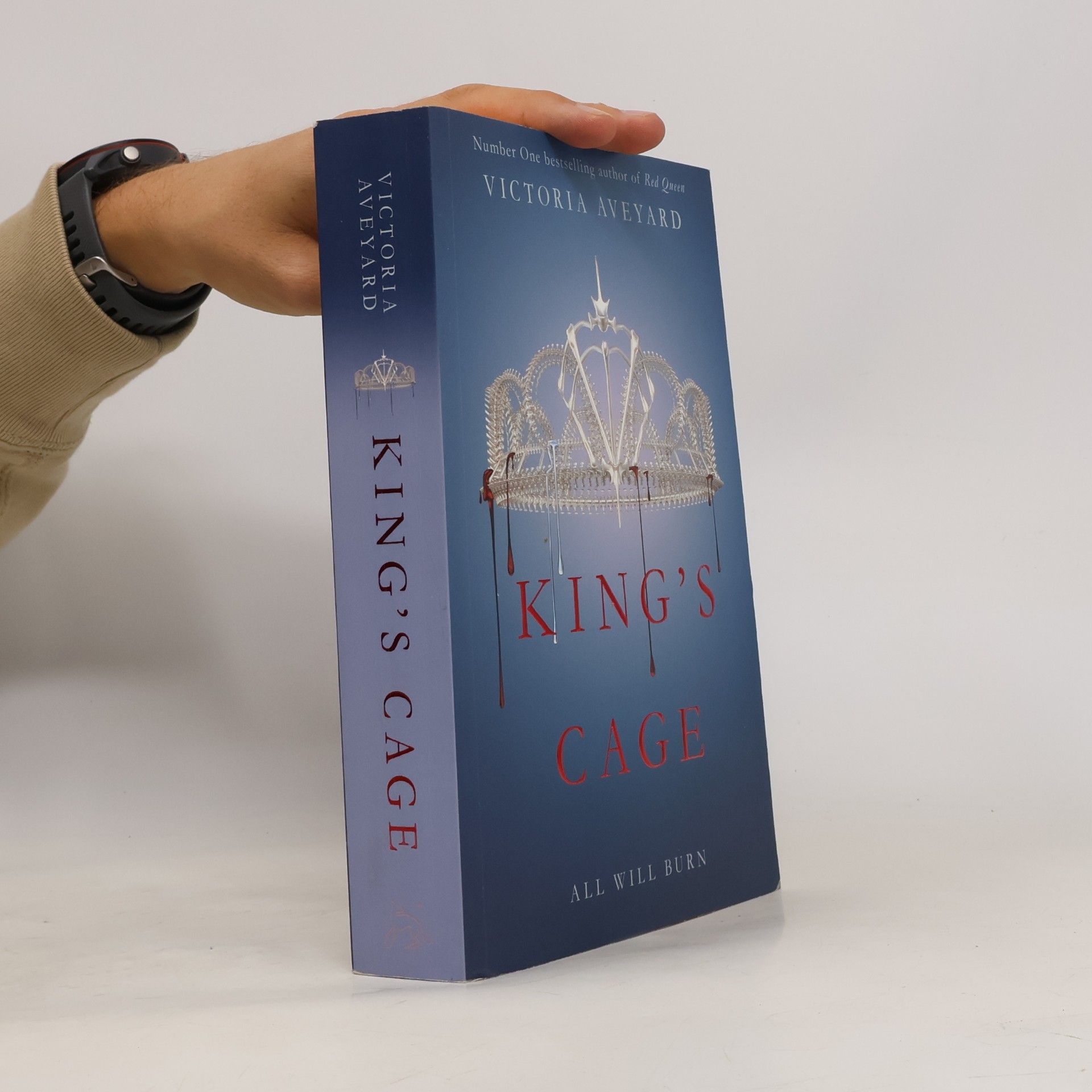Victoria Aveyardová King's Cage