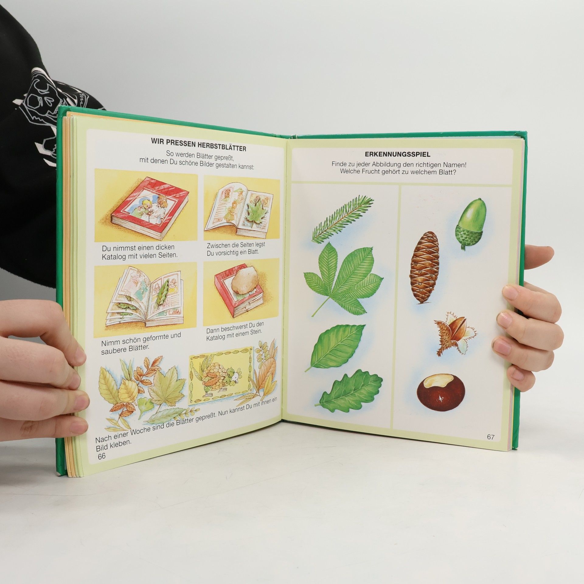 Collectif d'auteurs Dein buntes Wörterbuch der Natur