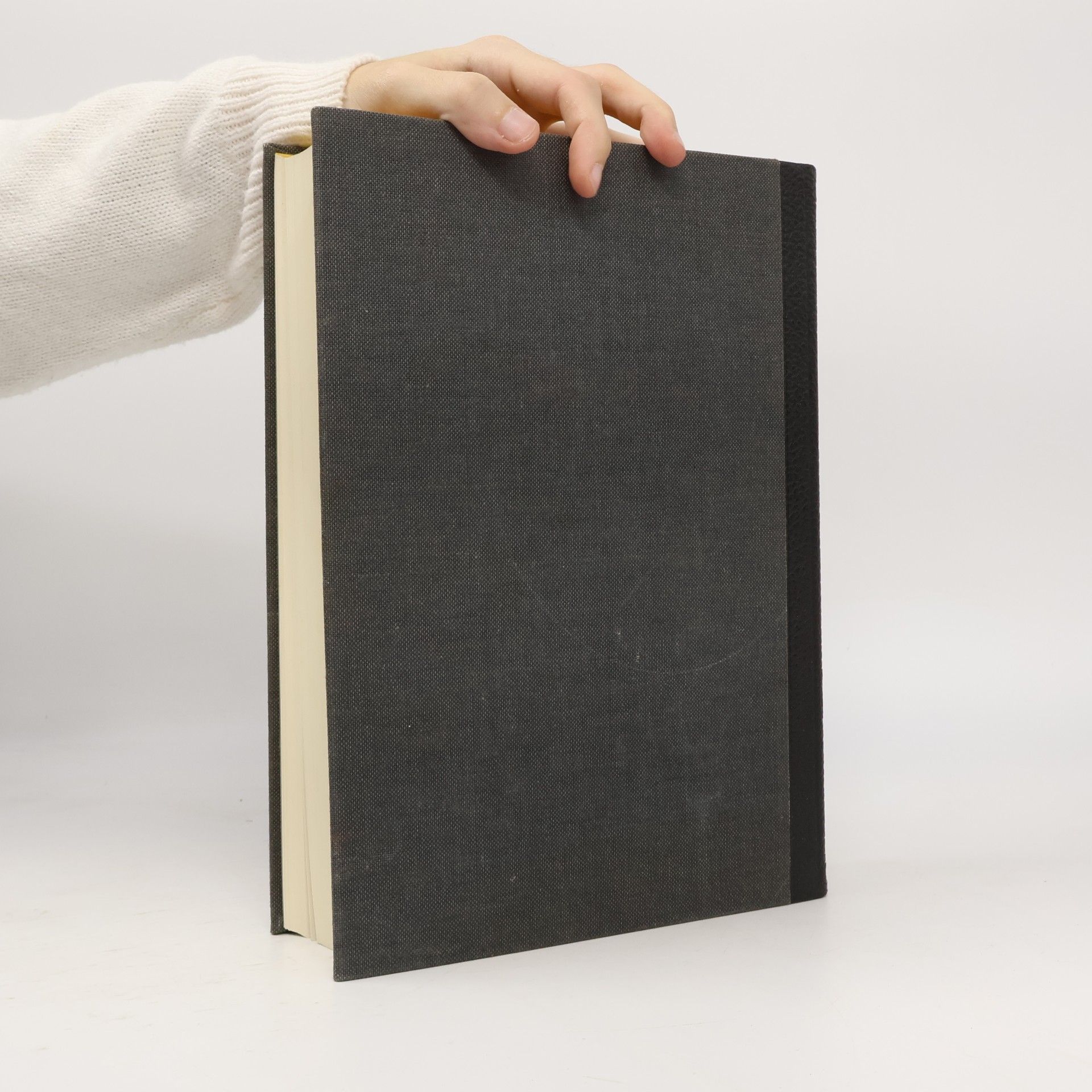 Jan Fontein Propyläen Kunstgeschichte 17