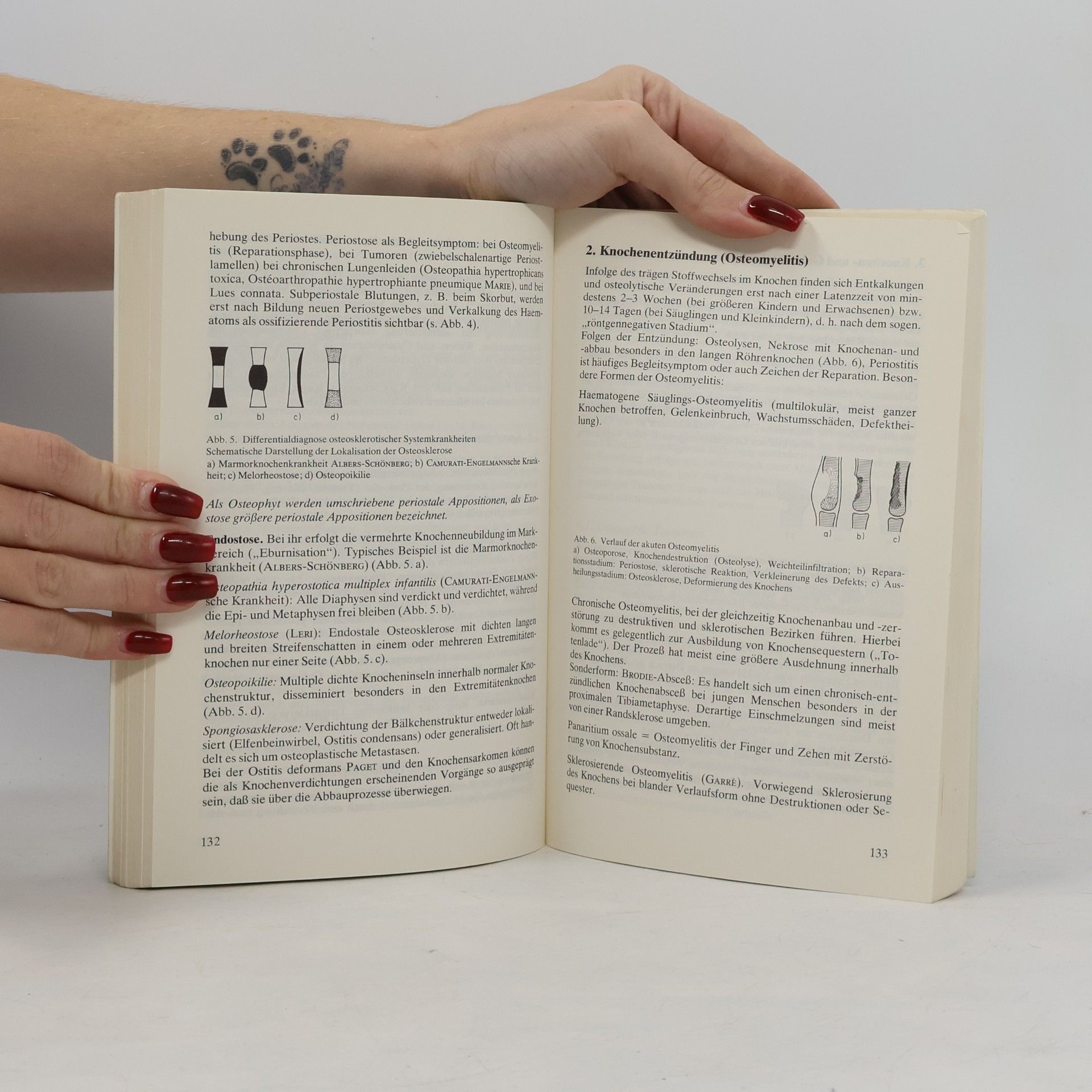 Josef Becker Heidelberger Taschenbücher - 112: Kursus