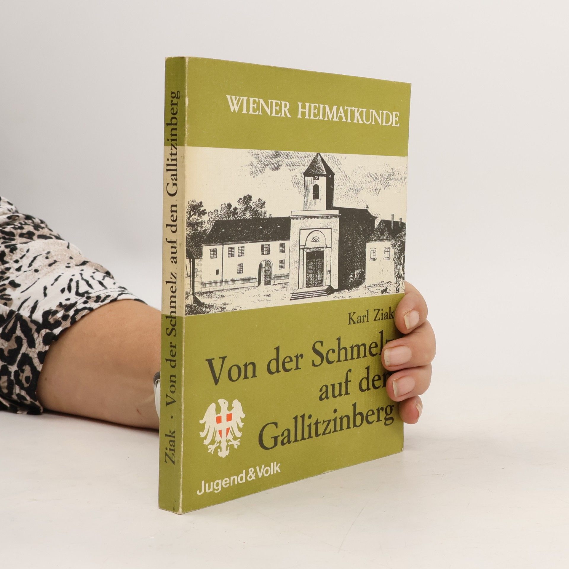 Von der Schmelz au den Gallitzinberg