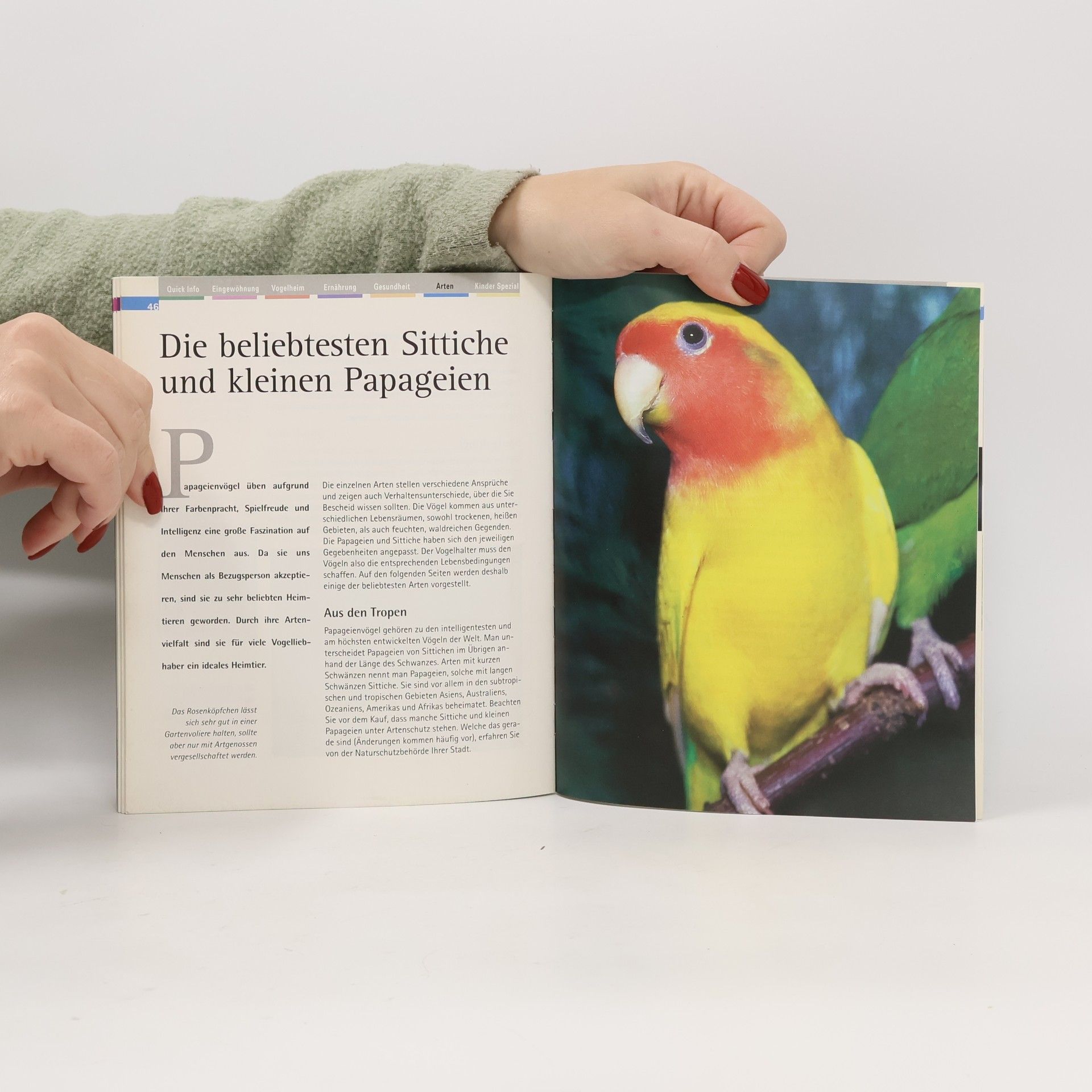 Horst Bielfeld Sittiche und kleine Papageien