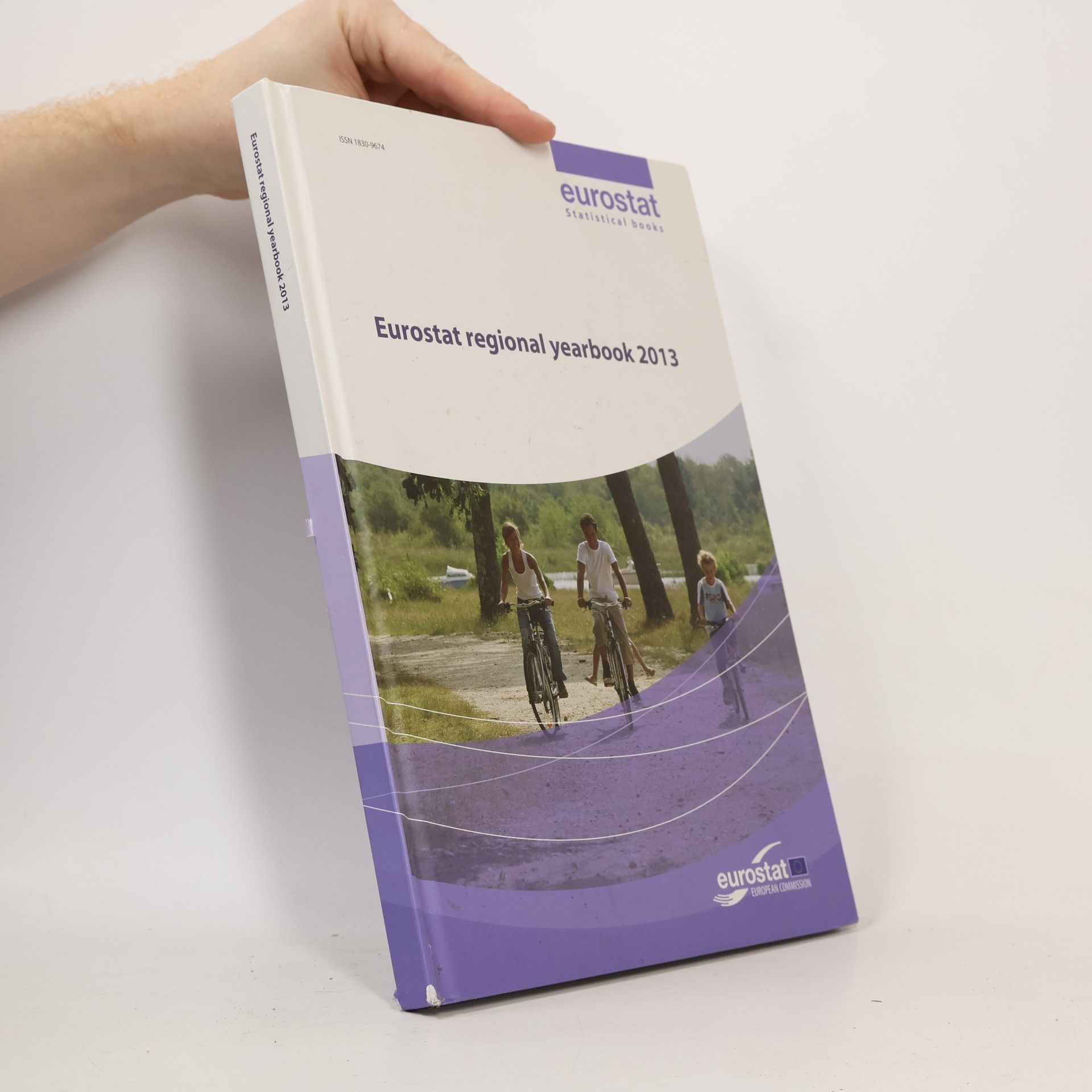Kolektív autorov Eurostat Regional Yearbook 2013