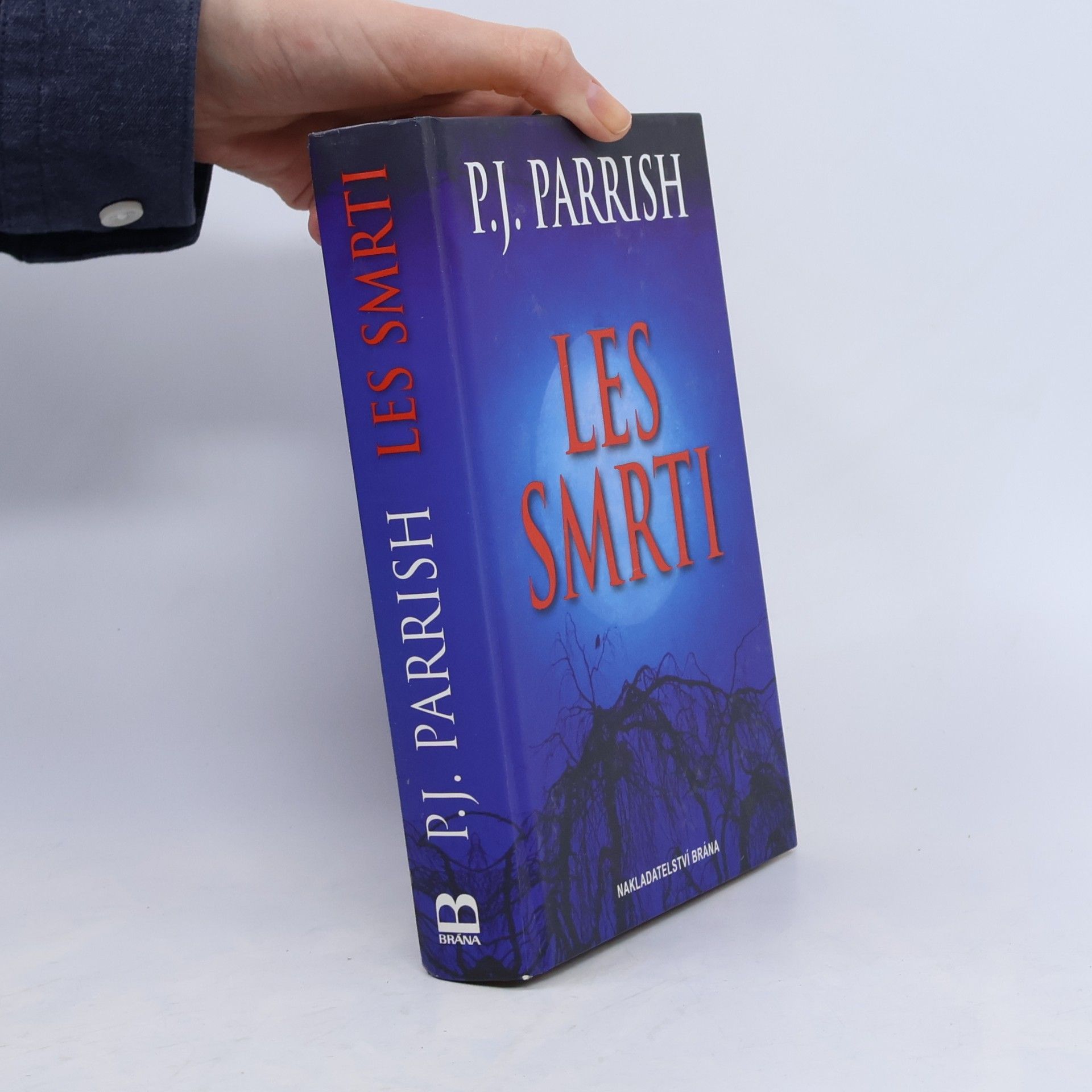 P. J. Parrish Les smrti