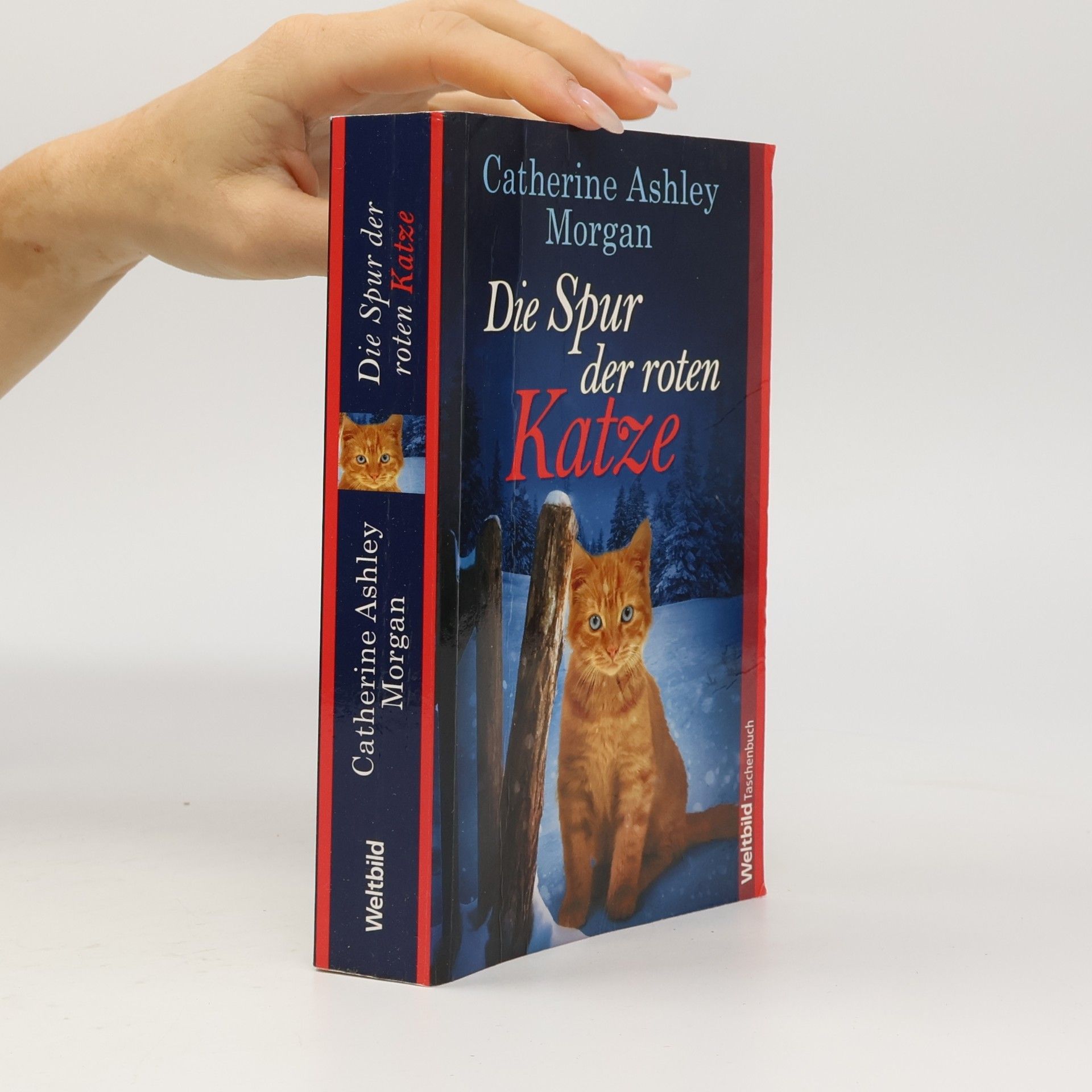 Die Spur der roten Katze
