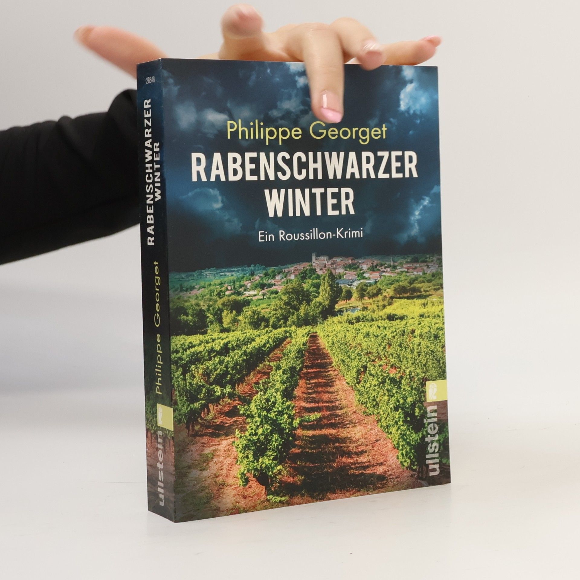 Rabenschwarzer Winter