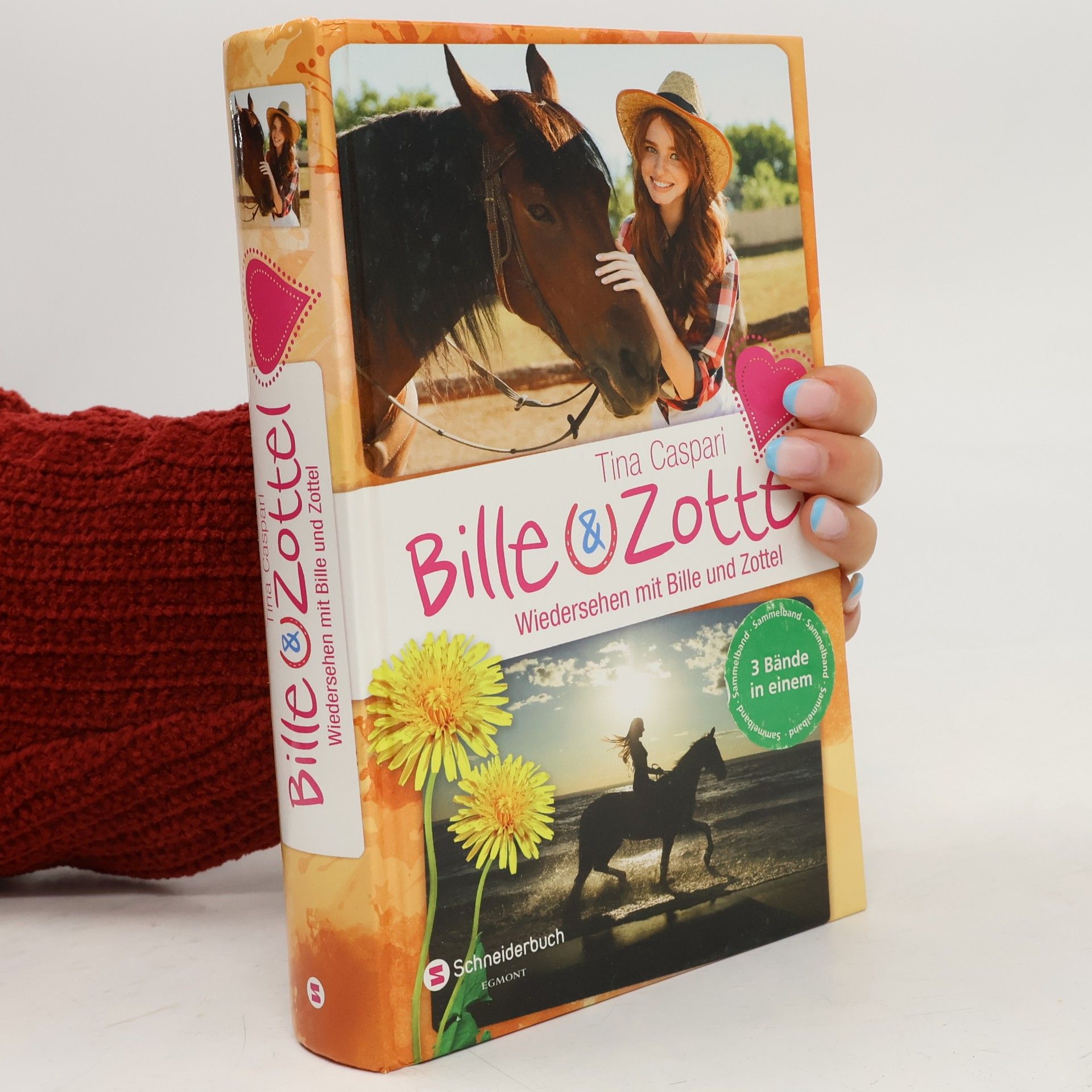 Bille und Zottel - Wiedersehen mit Bille & Zottel