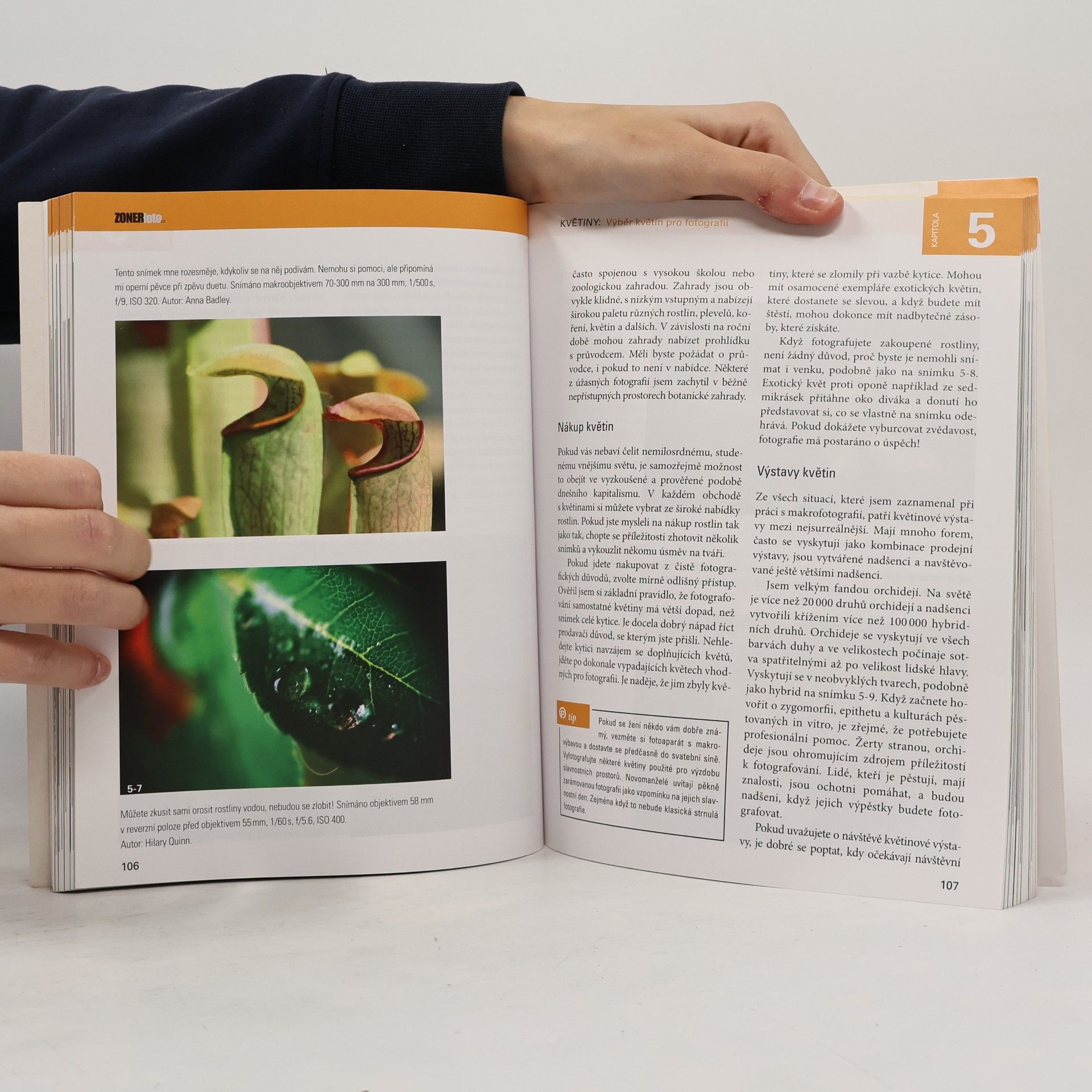 Haje Jan Kamps Makrofotografie