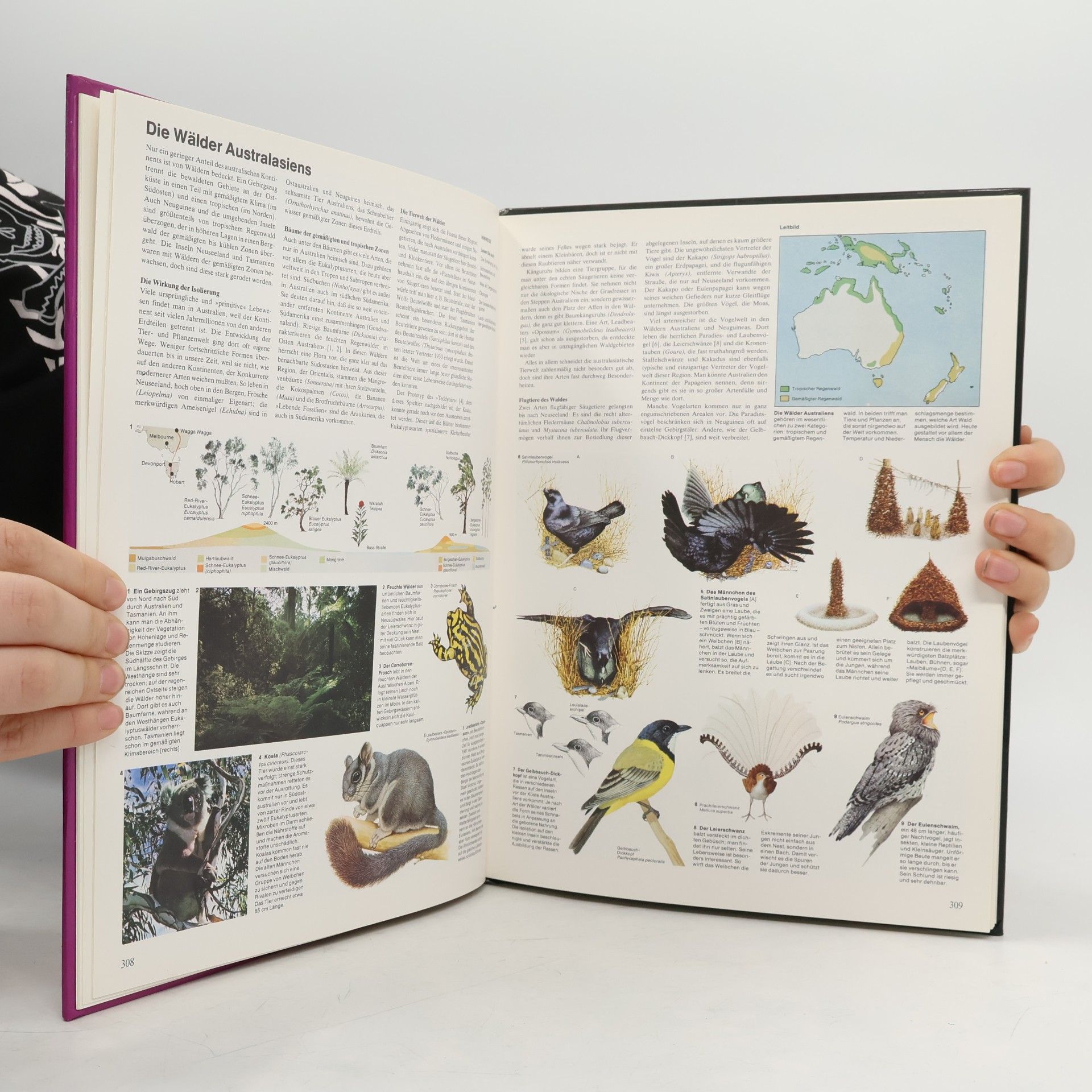 Various authors Neue Enzyklopädie des Wissens 6