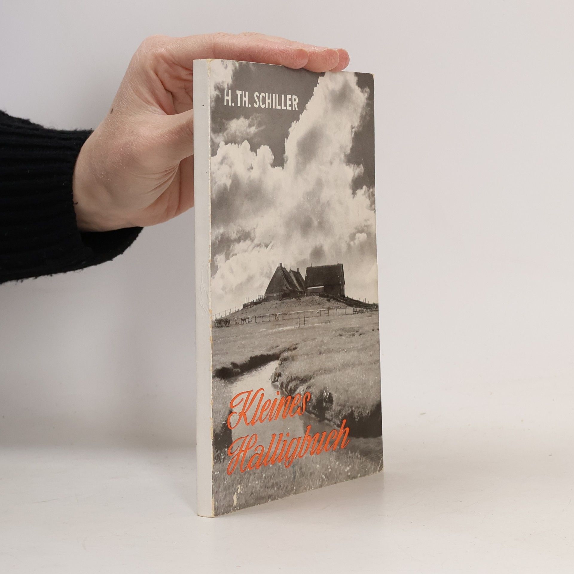 Kleines Halligbuch