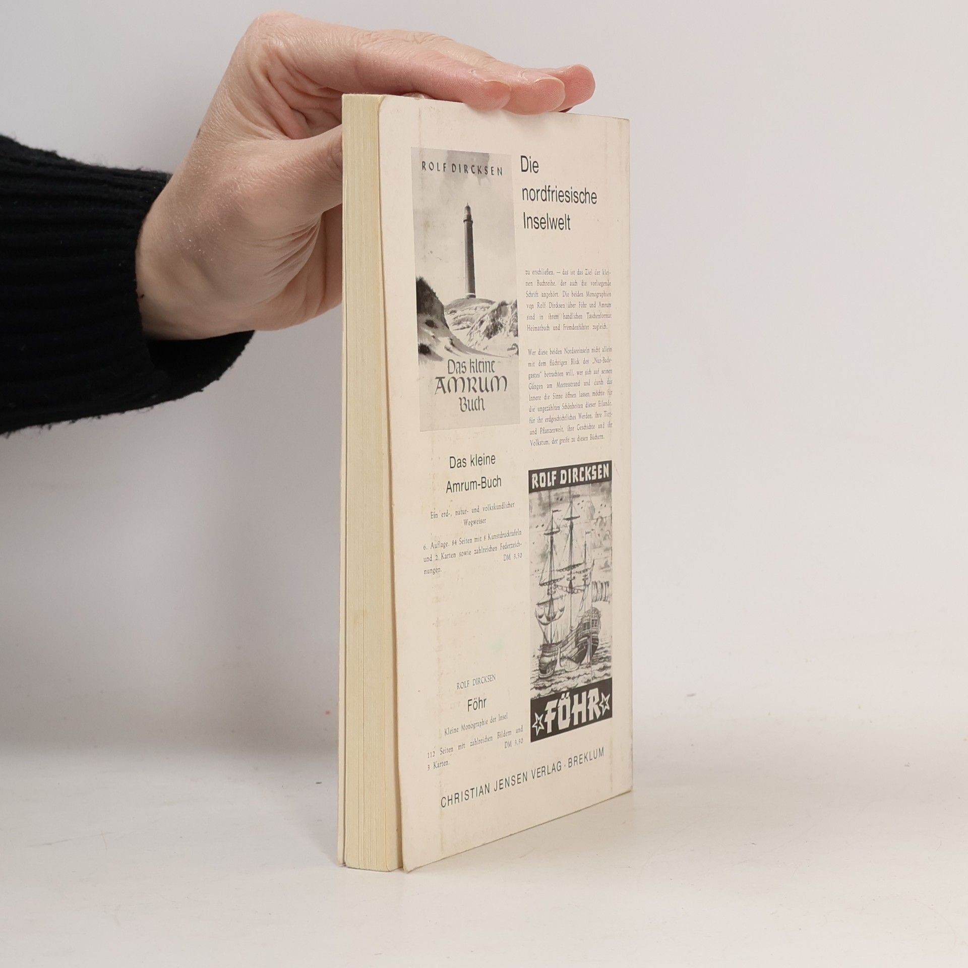 Harry Theodor Schiller Kleines Halligbuch
