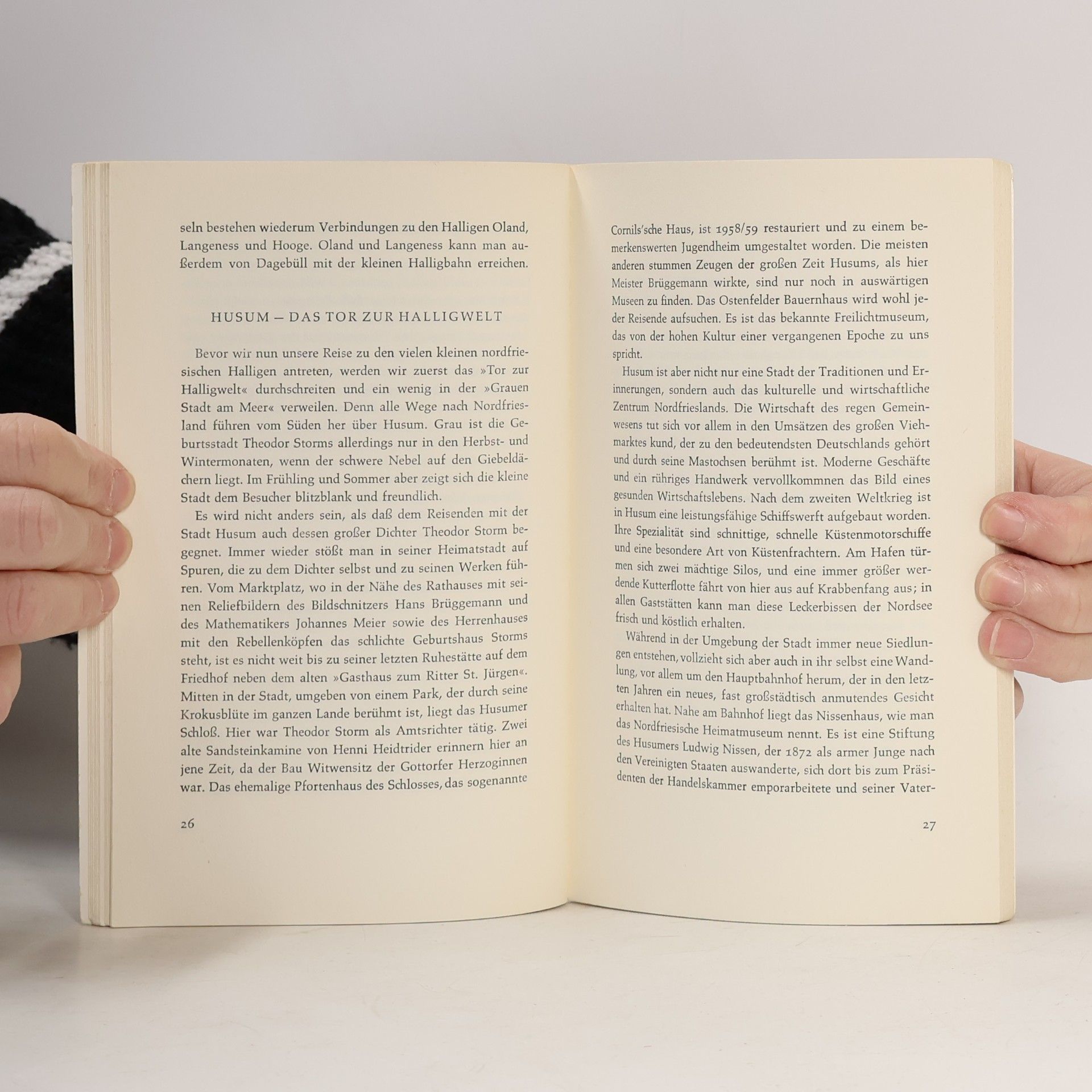 Harry Theodor Schiller Kleines Halligbuch