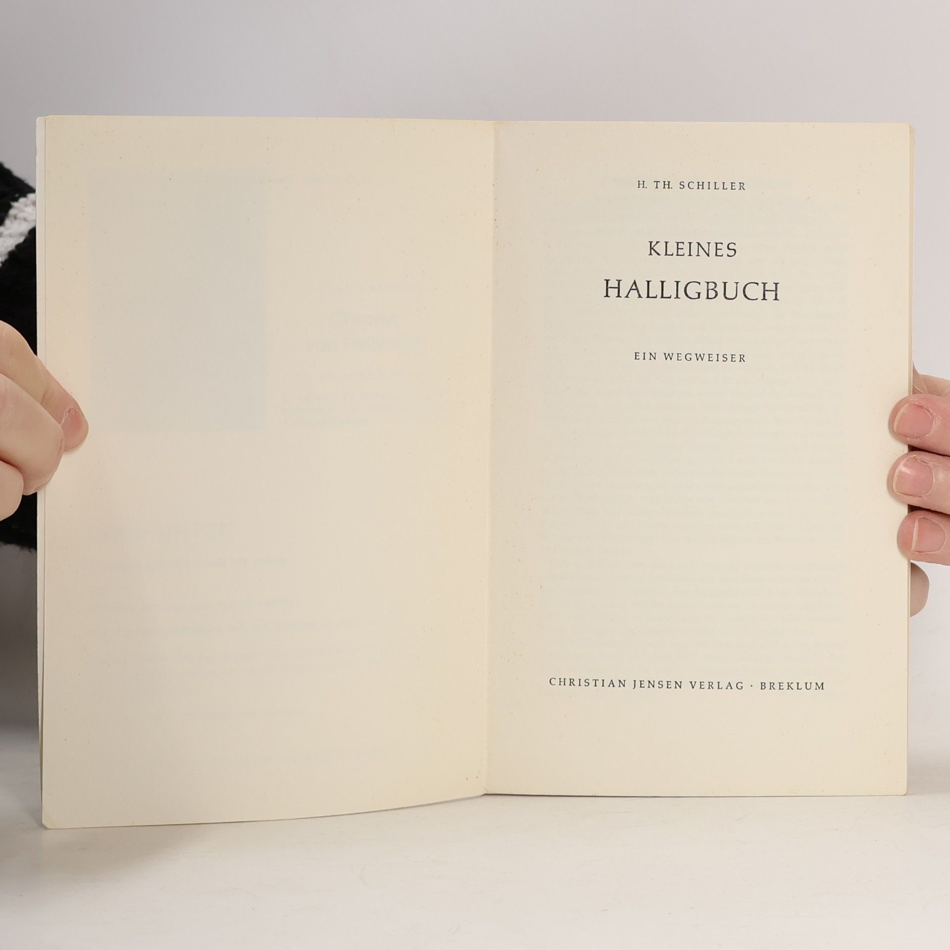 Harry Theodor Schiller Kleines Halligbuch