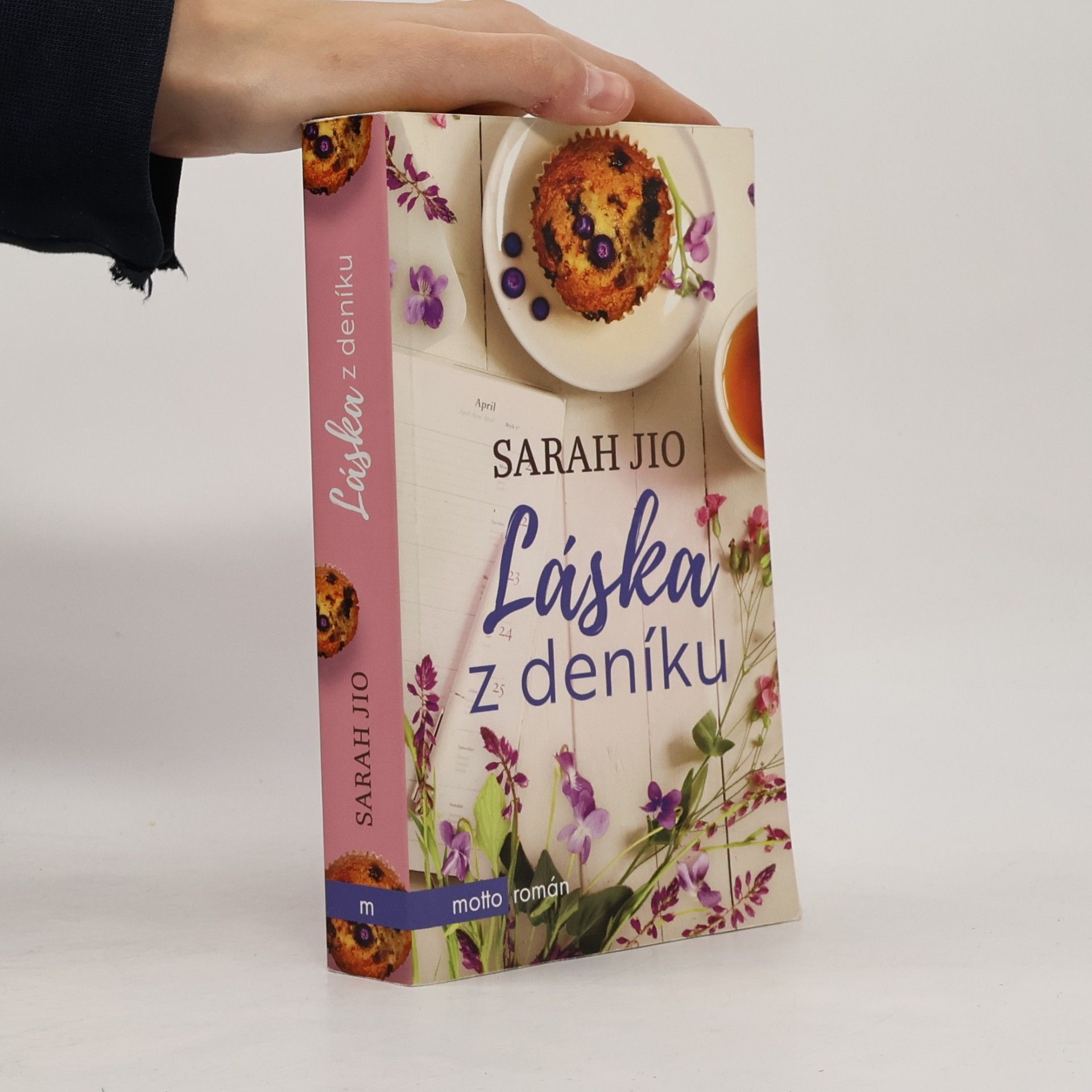 Láska z deníku
