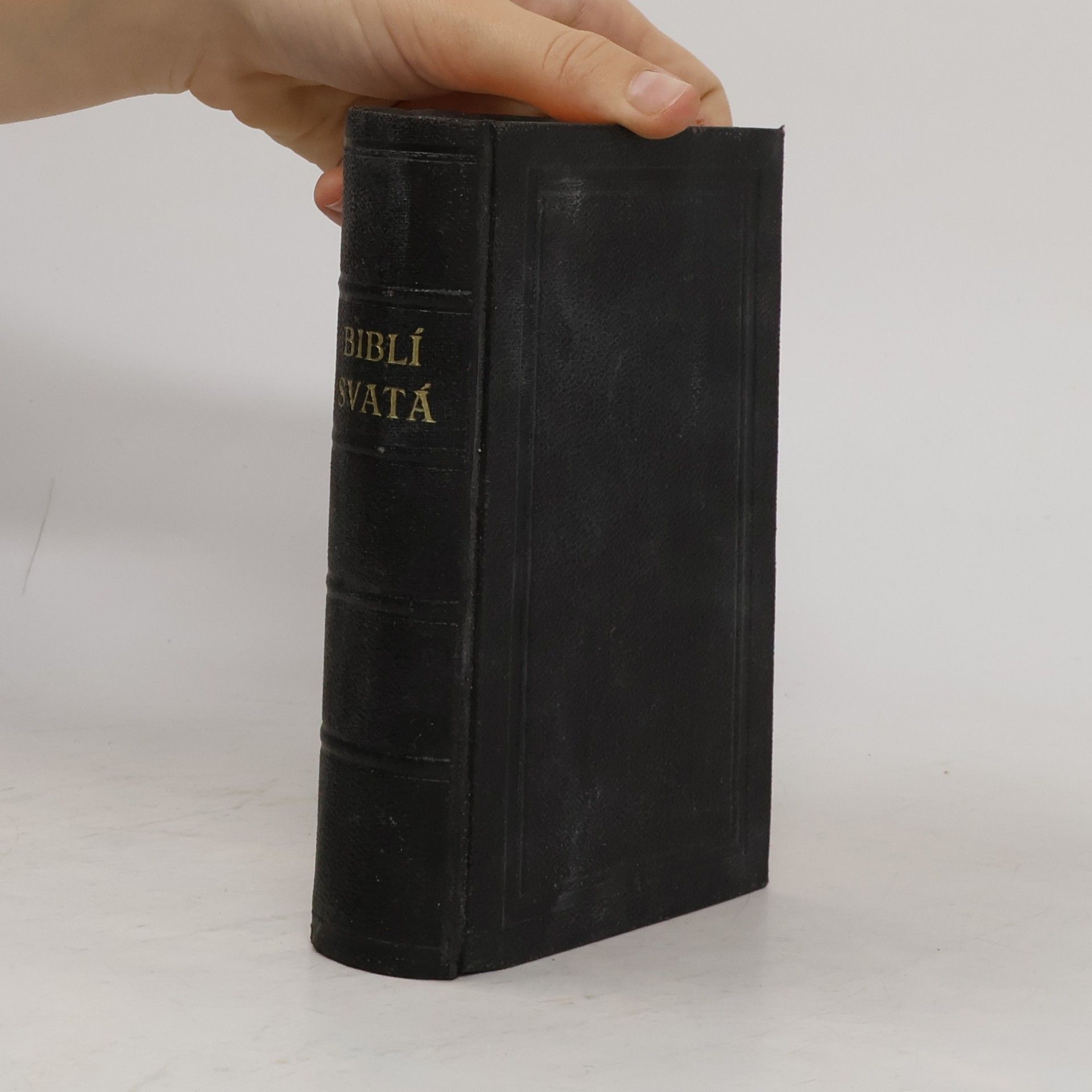 Kolektiv autorů Biblí svatá aneb Všecka svatá písma Starého i Nového zákona podle posledního vydání kralického z roku 1613