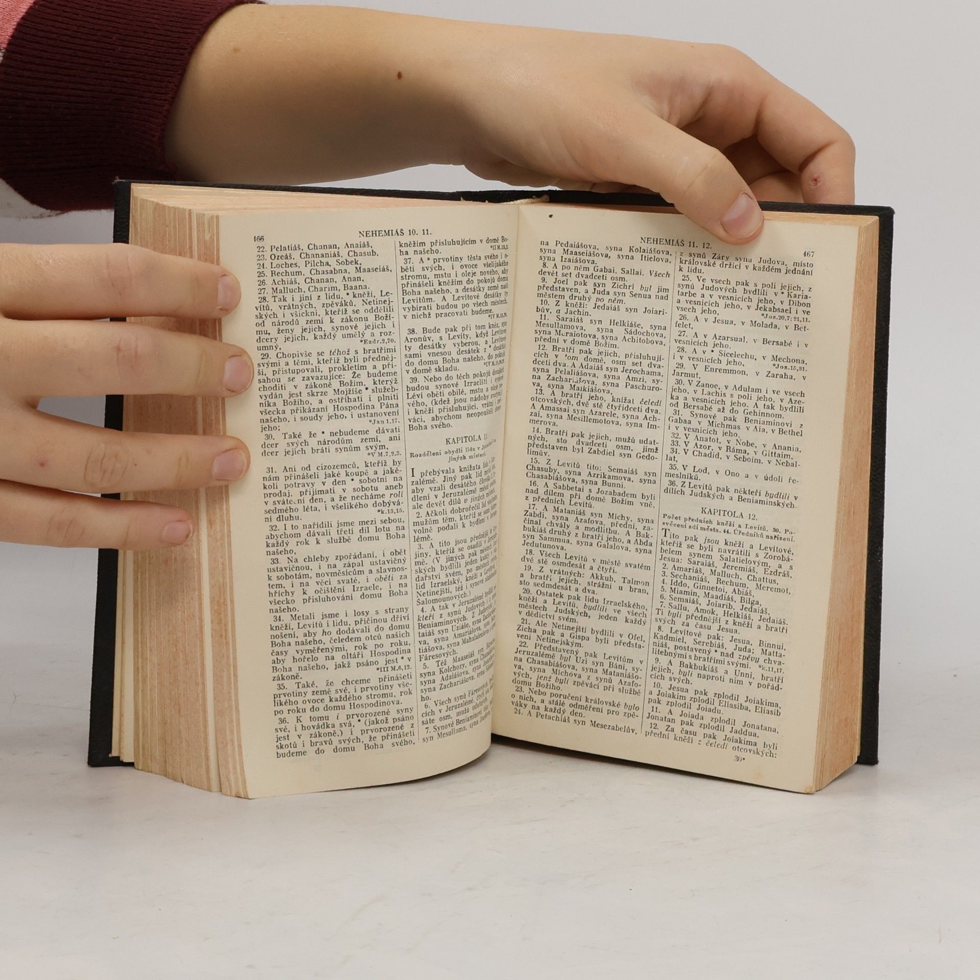Kolektiv autorů Biblí svatá aneb Všecka svatá písma Starého i Nového zákona podle posledního vydání kralického z roku 1613