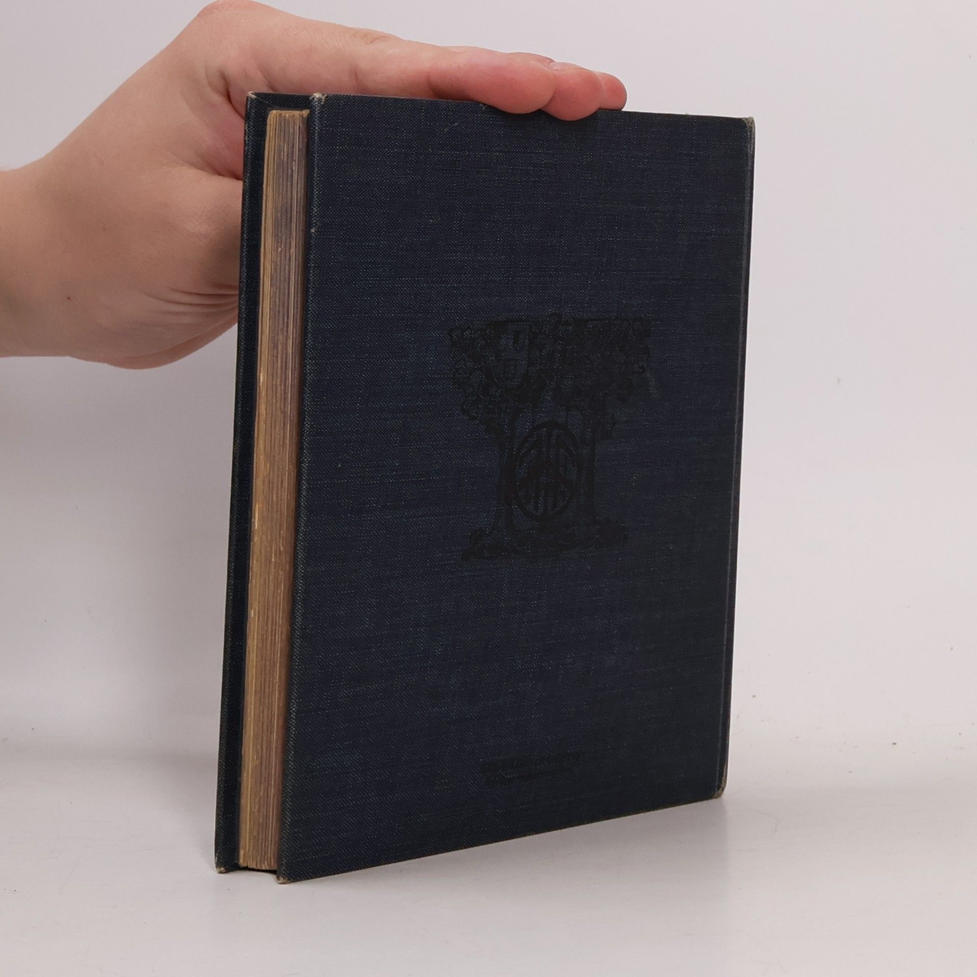 Autorenkollektiv Lieder und Bilder für jung und alt