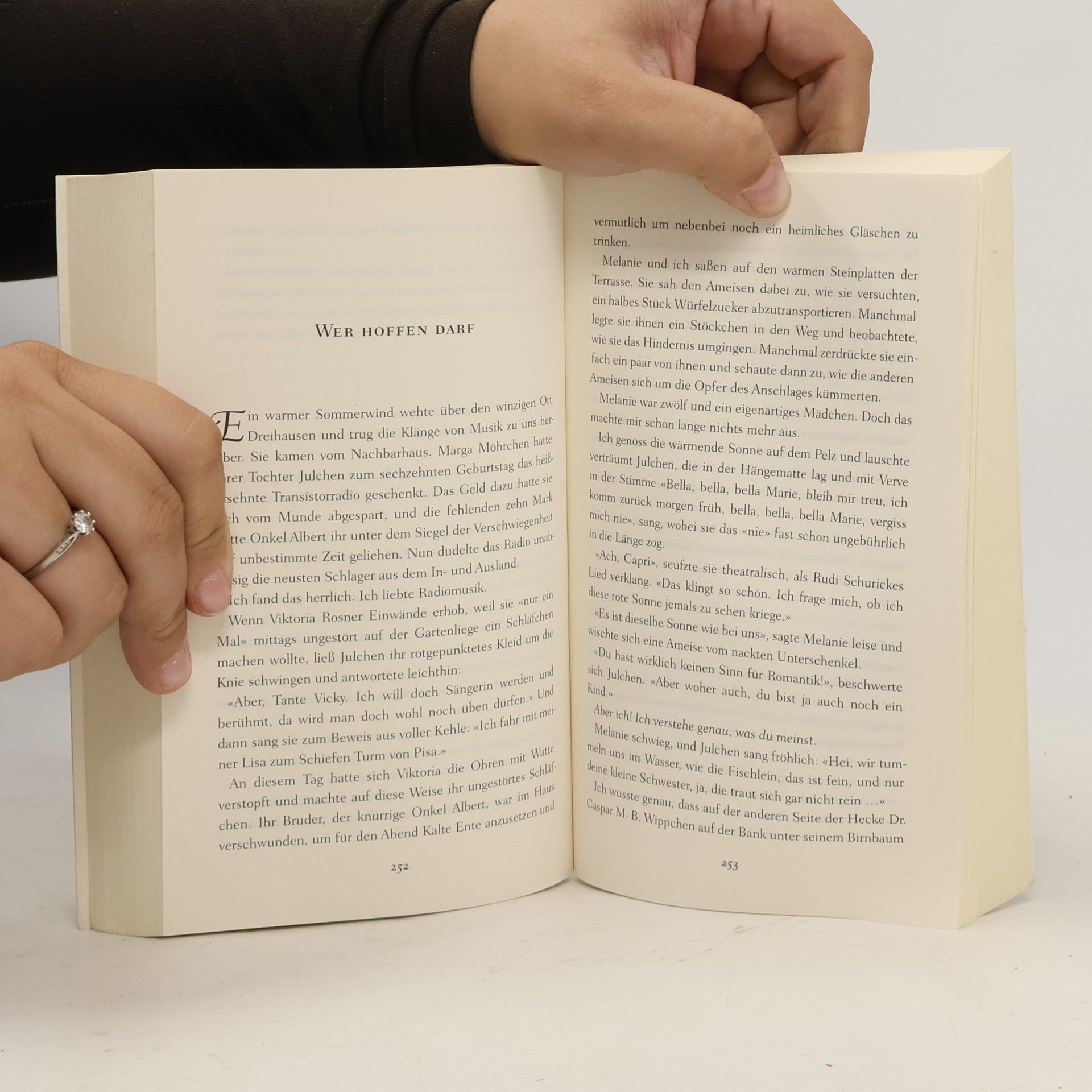 Anne Bubenzer Die unglaubliche Geschichte des Henry N. Brown