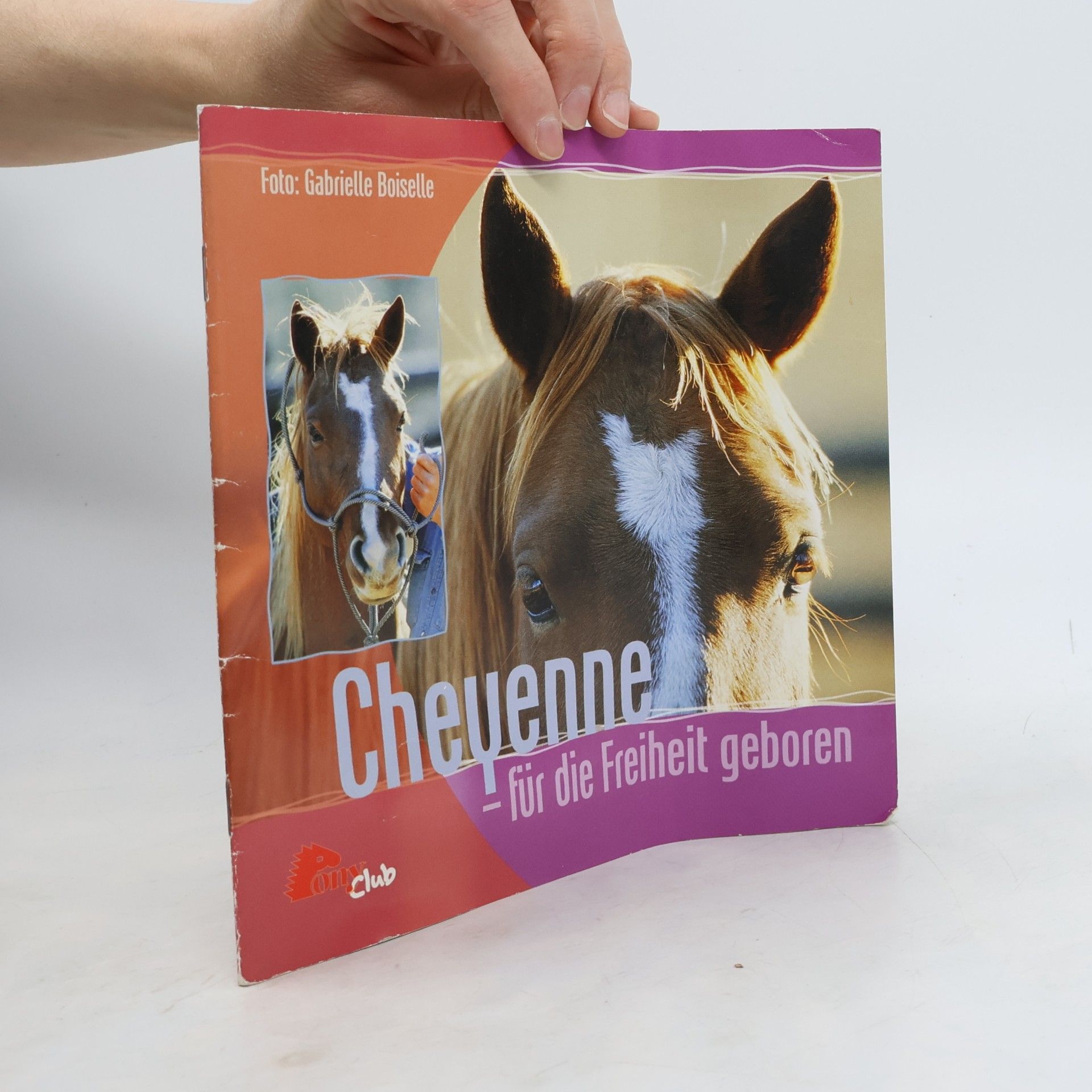 Cheyenne