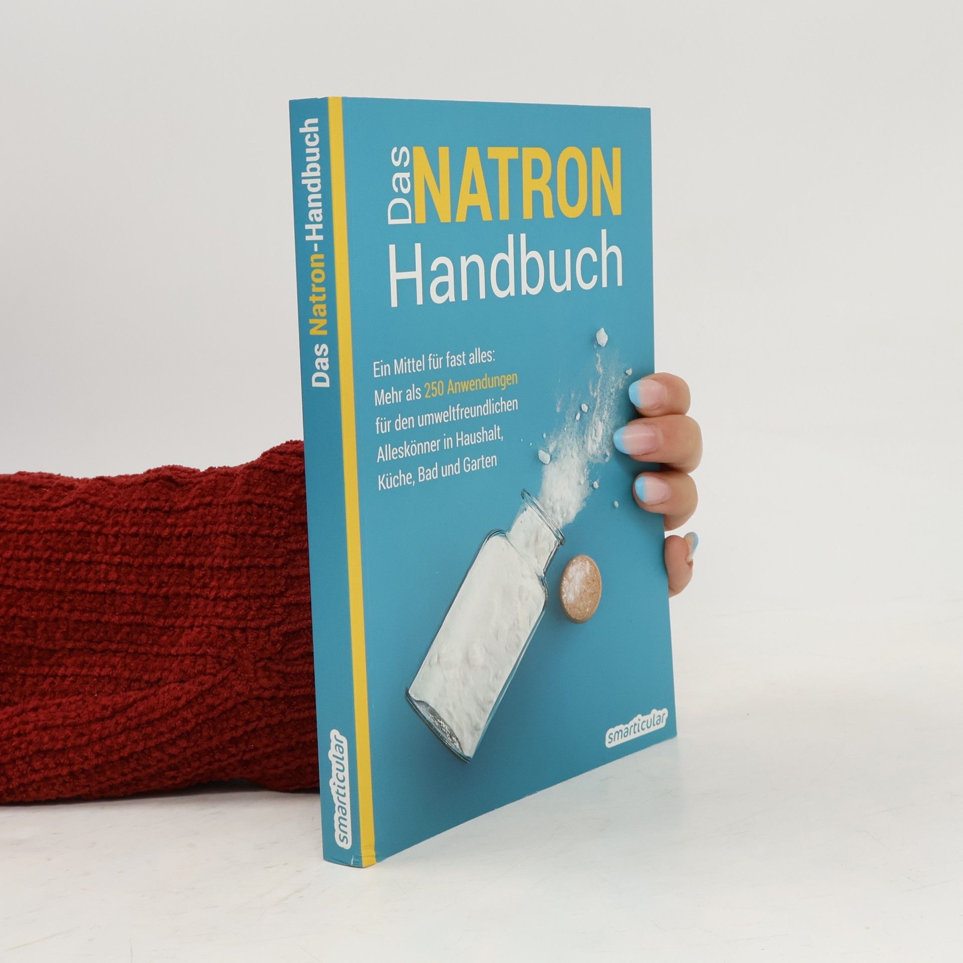 Autorenkollektiv Das Natron-Handbuch