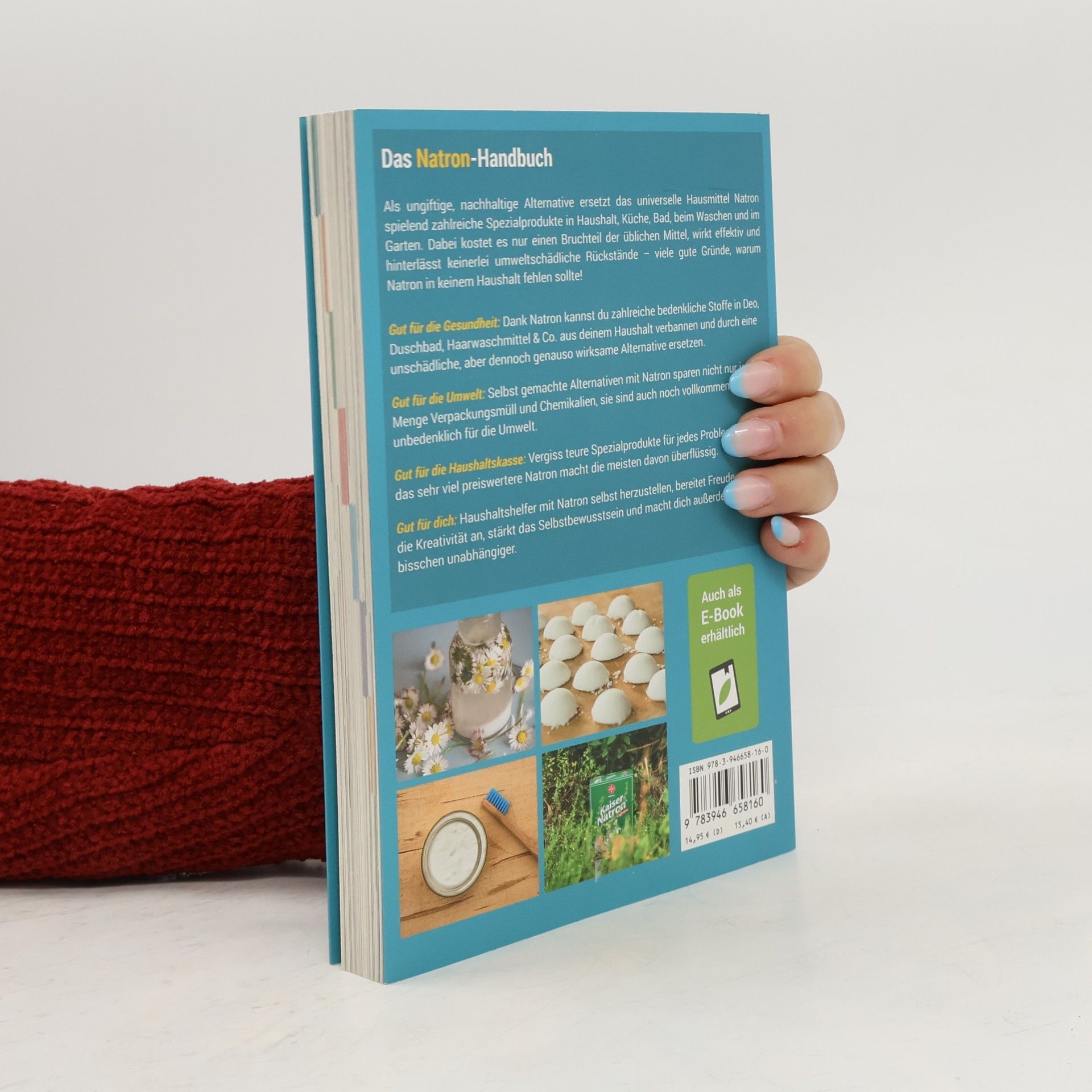 Autorenkollektiv Das Natron-Handbuch