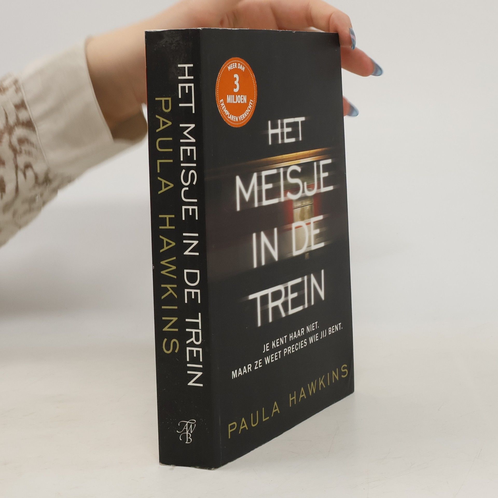 Het meisje in de trein / druk 1