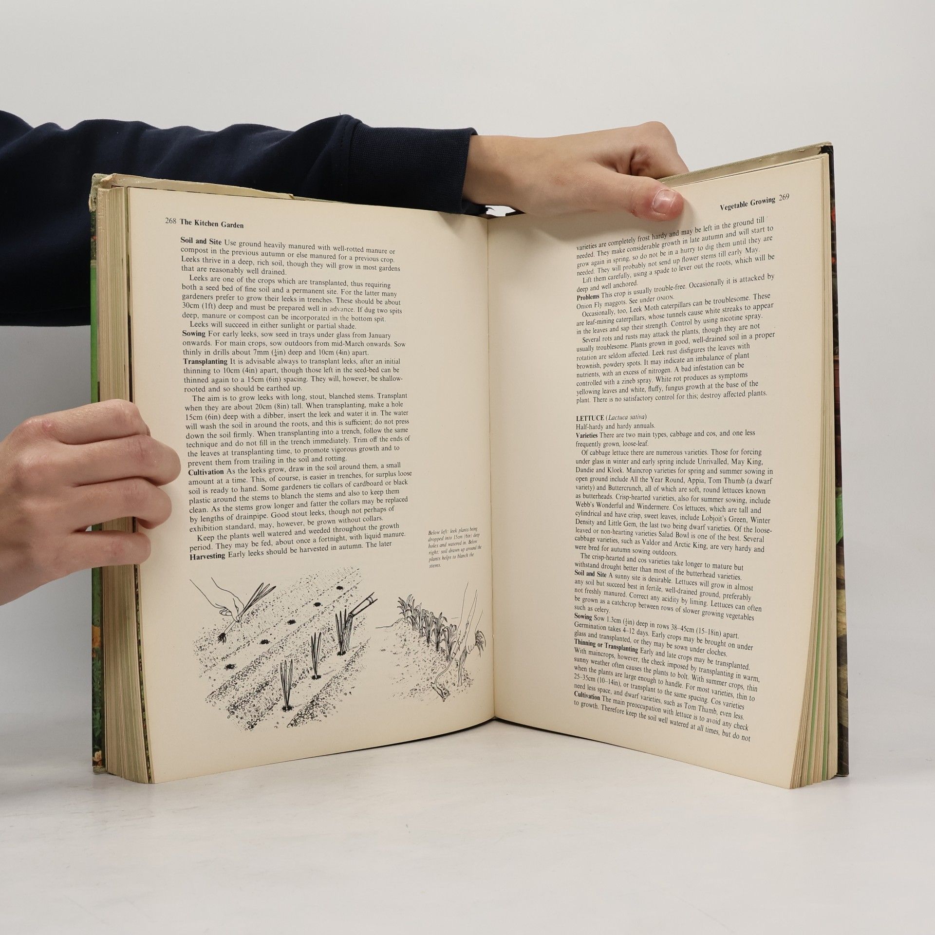 Autorenkollektiv The Complete Book of Gardening