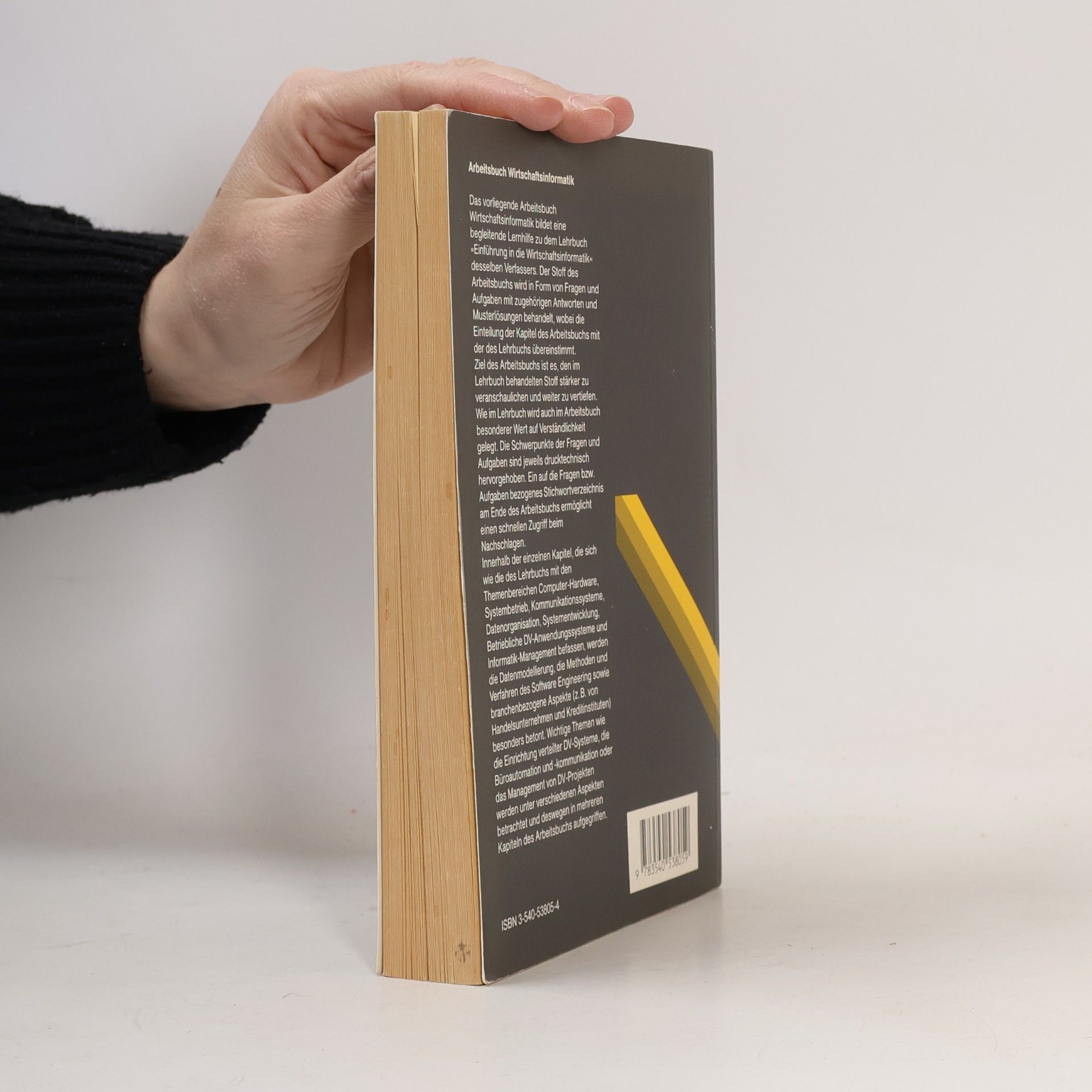 Peter Stahlknecht Arbeitsbuch Wirtschaftsinformatik