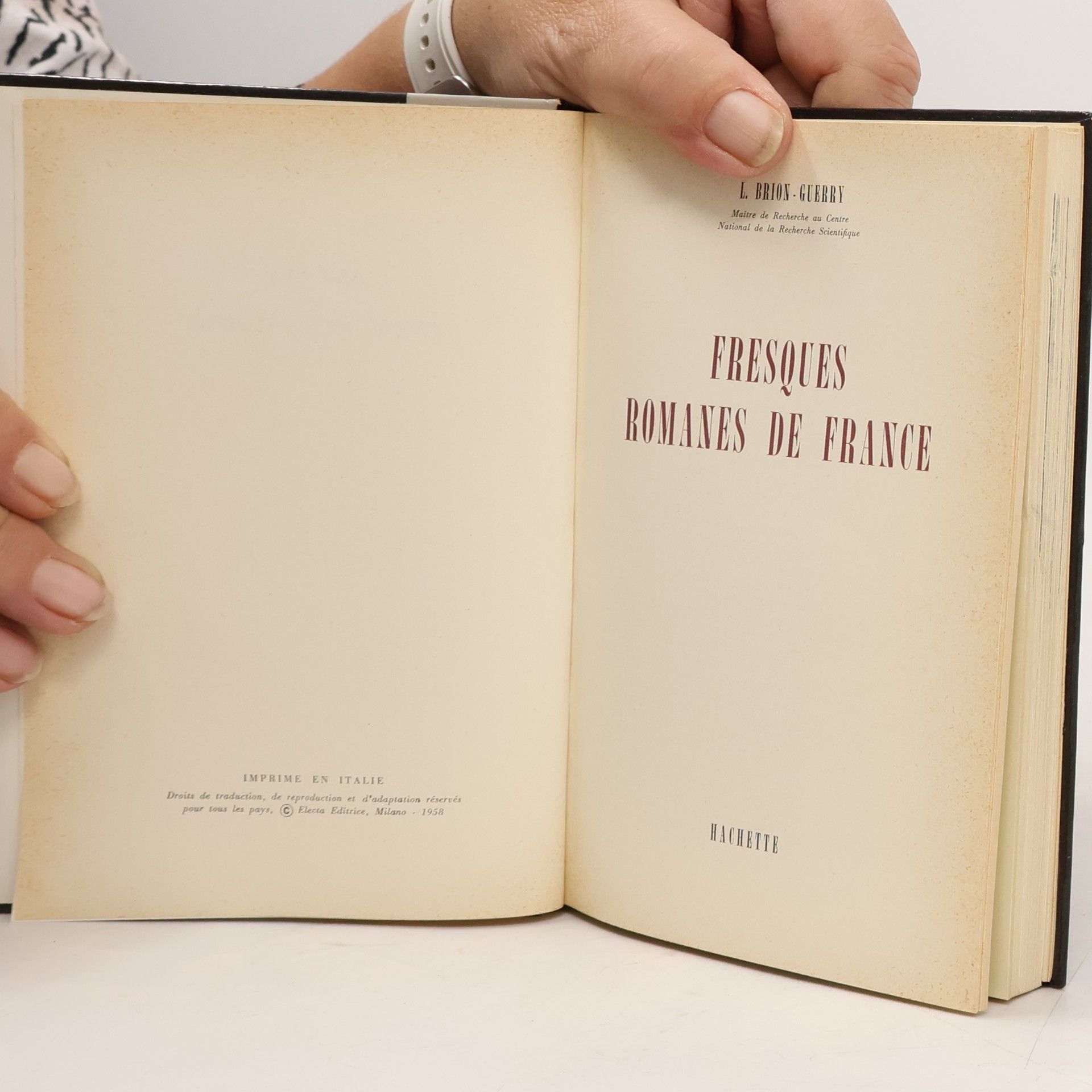 L. Brion-Guerry Fresques Romanes De France