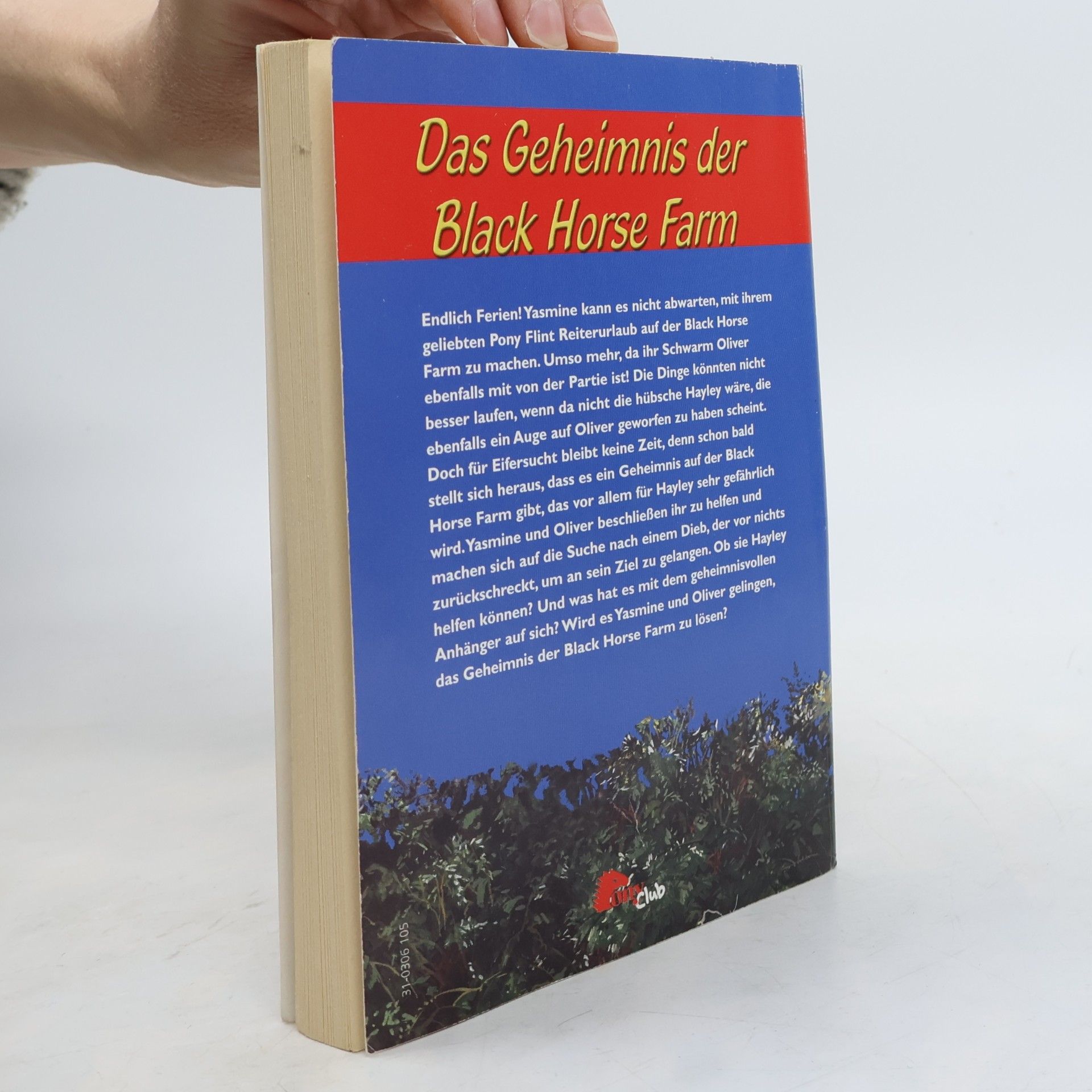 Jenny Hughes Das Geheimnis der Black-horse-Farm