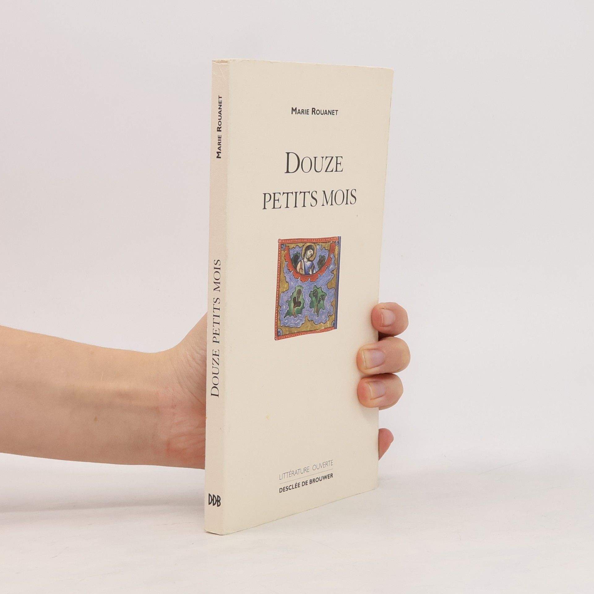 Marie Rouanet Littérature ouverte: Douze petits mois