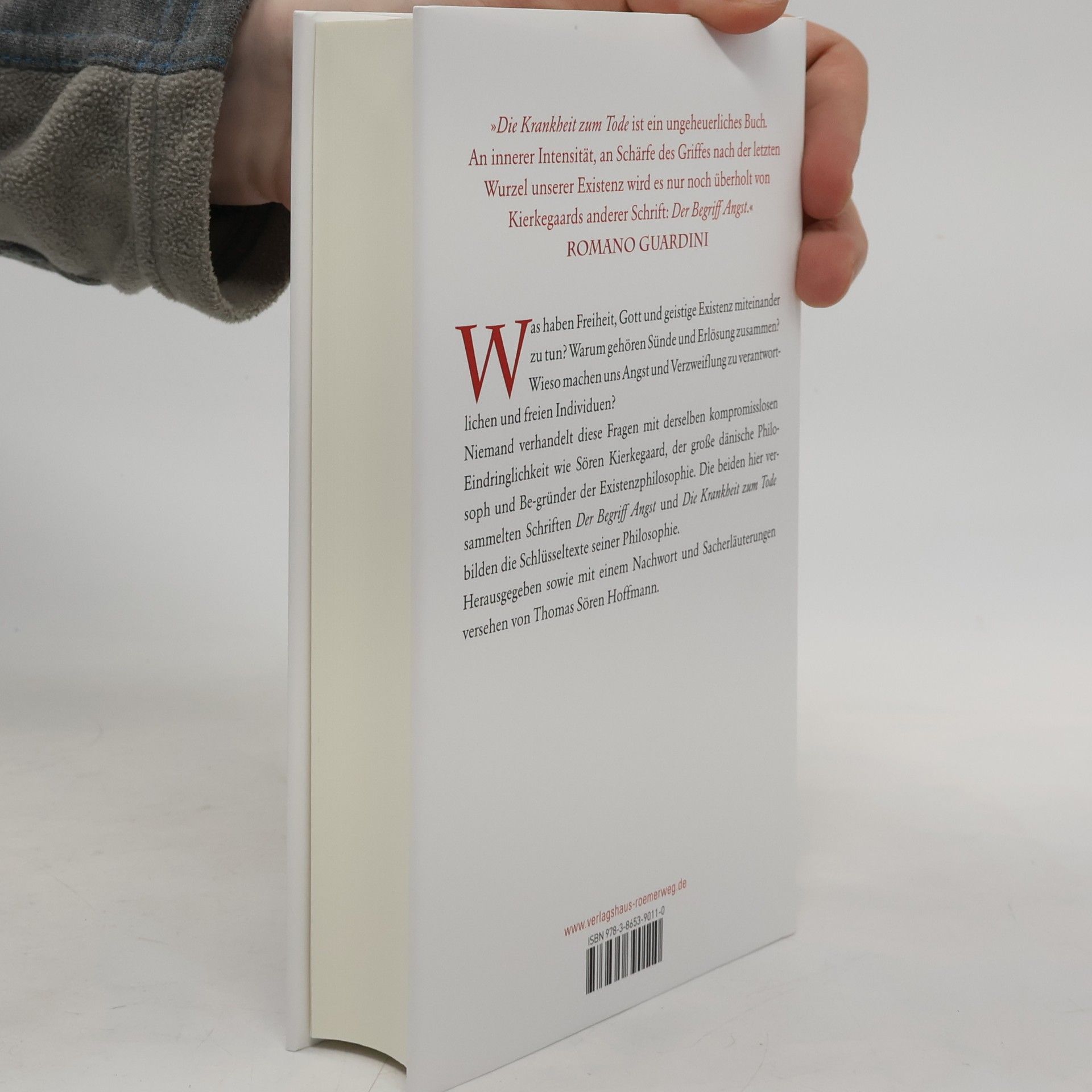 Søren Kierkegaard Die Krankheit zum Tode