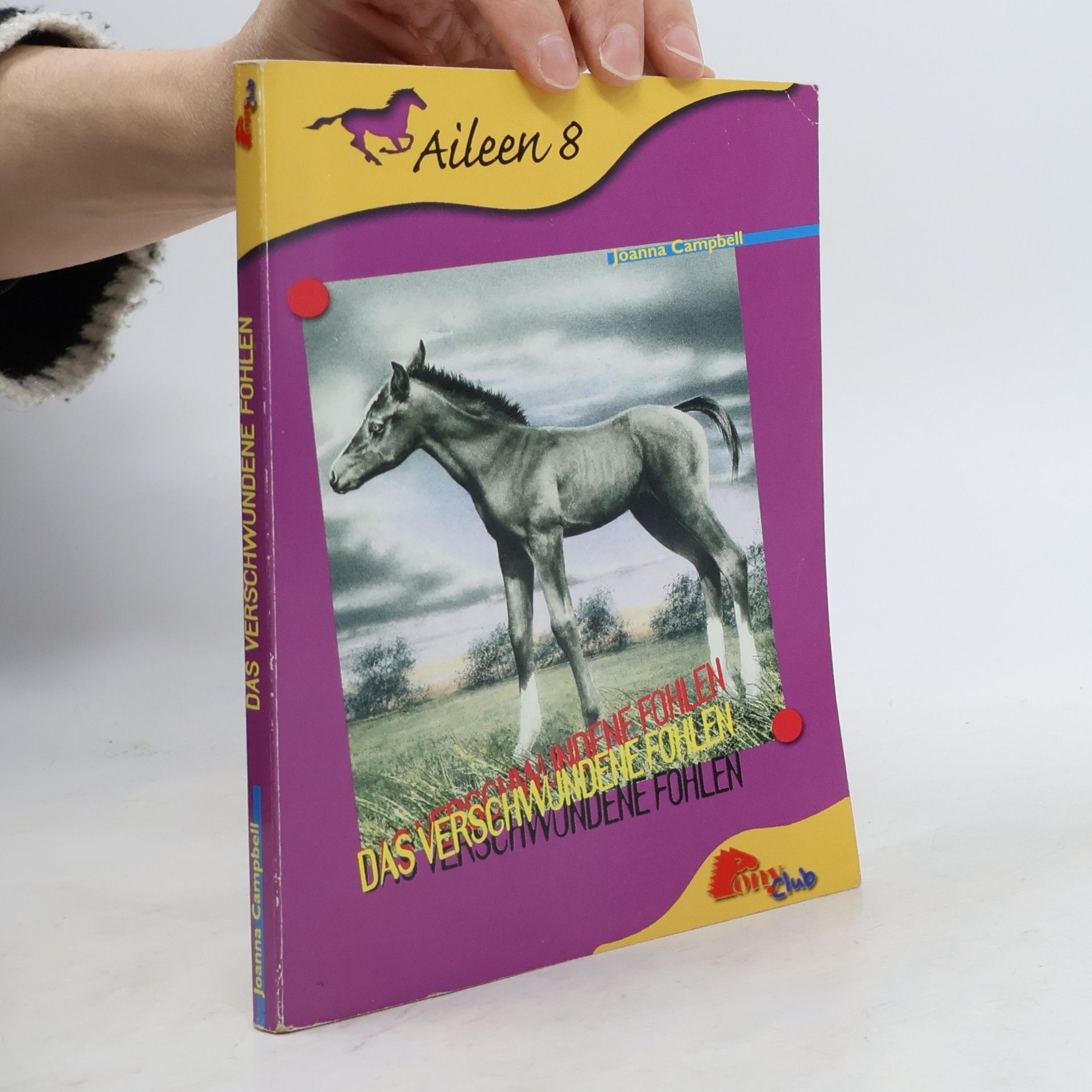 Aileen 8, Das Verschwundene Fohlen