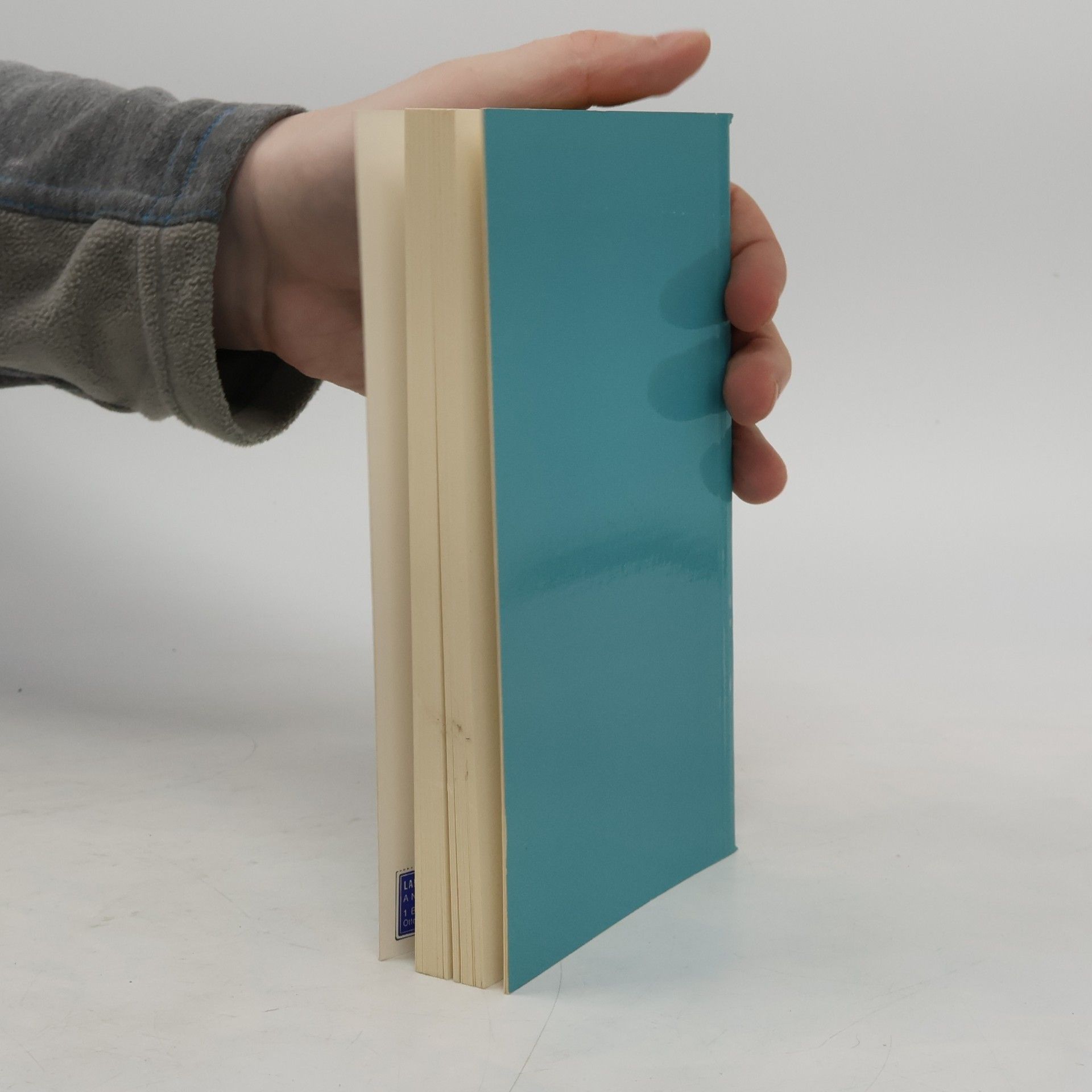 Chiu Chang Suan Shu Neun Bücher Arithmetischer Technik