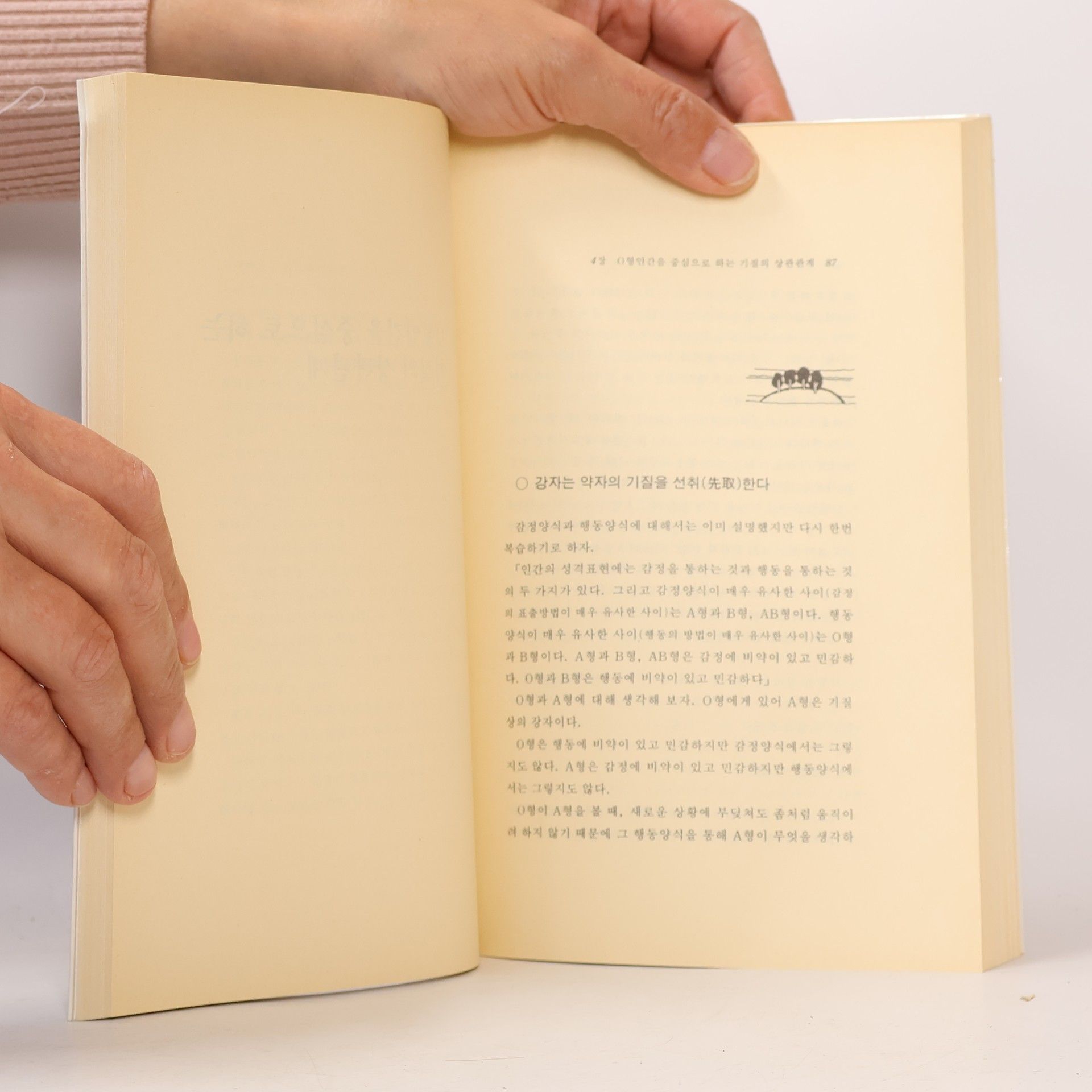 Autorenkollektiv O형 인간의 미학