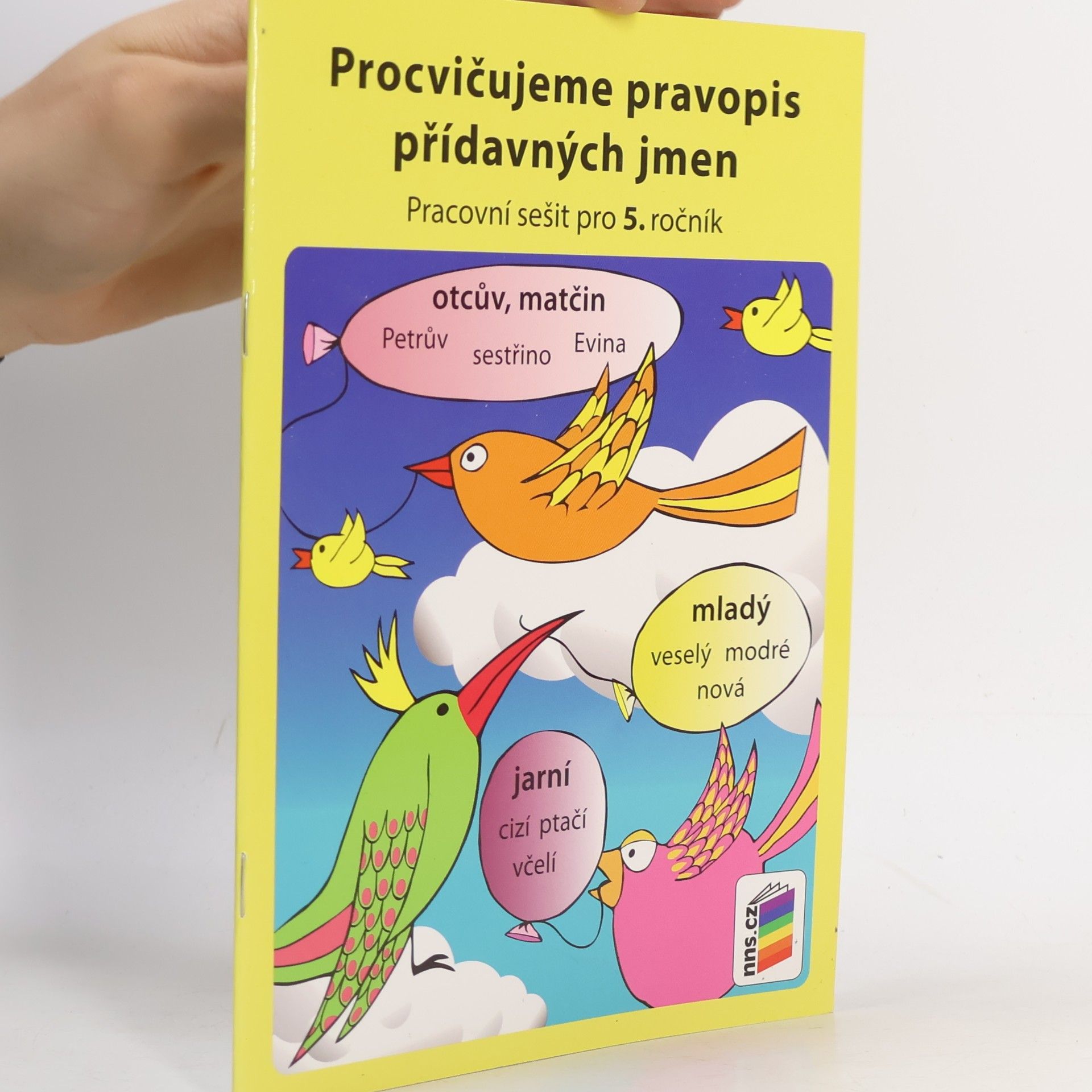 Procvičujeme pravopis přídavných jmen