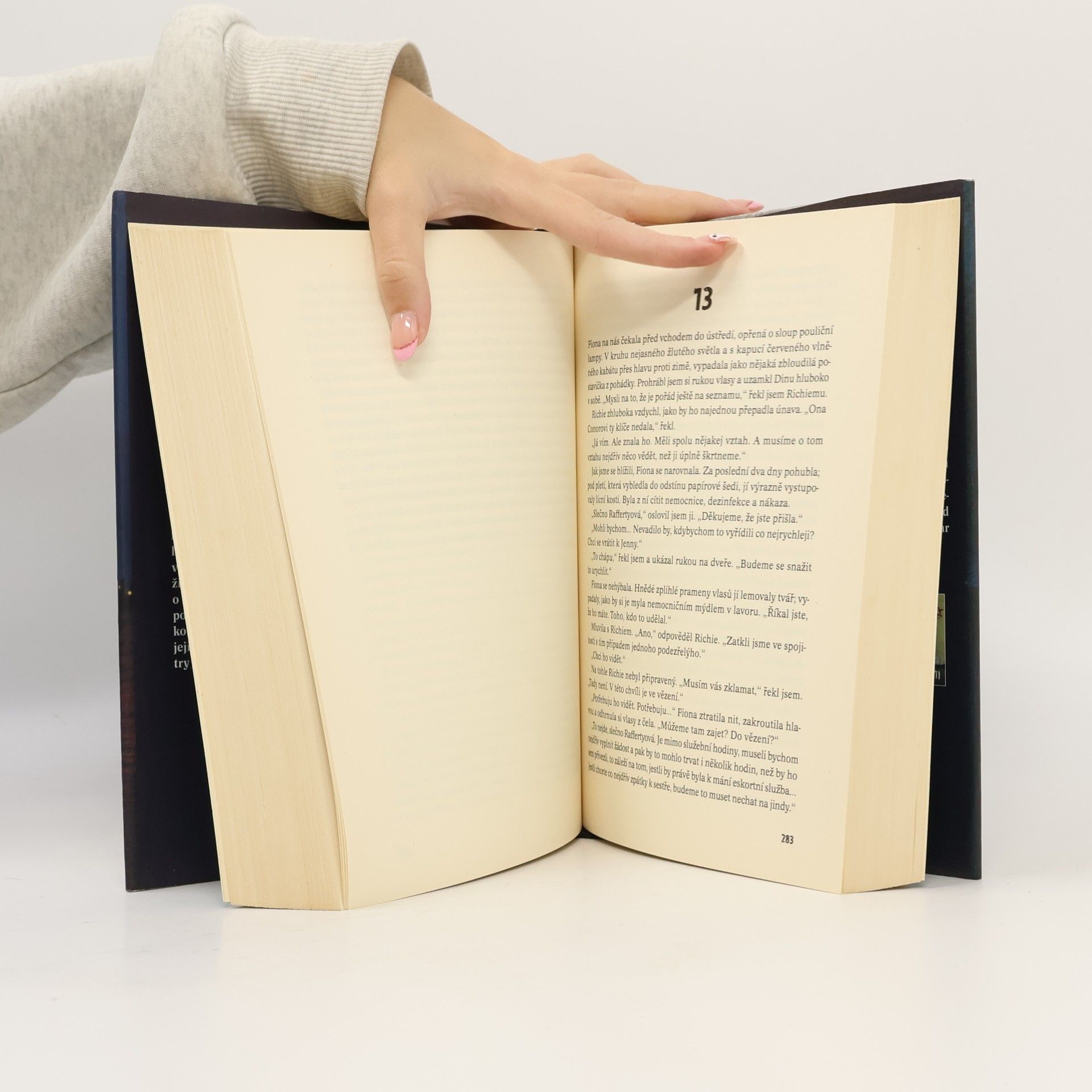 Tana French Ztracený přístav