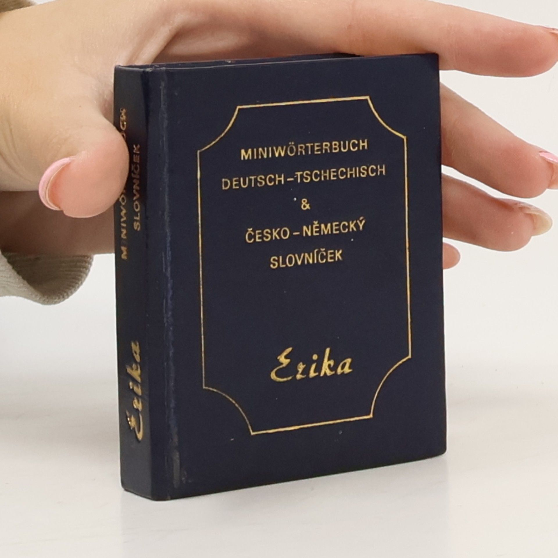 Collectif d'auteurs Miniwörterbuch deutsch-tschechisch & česko-německý slovníček