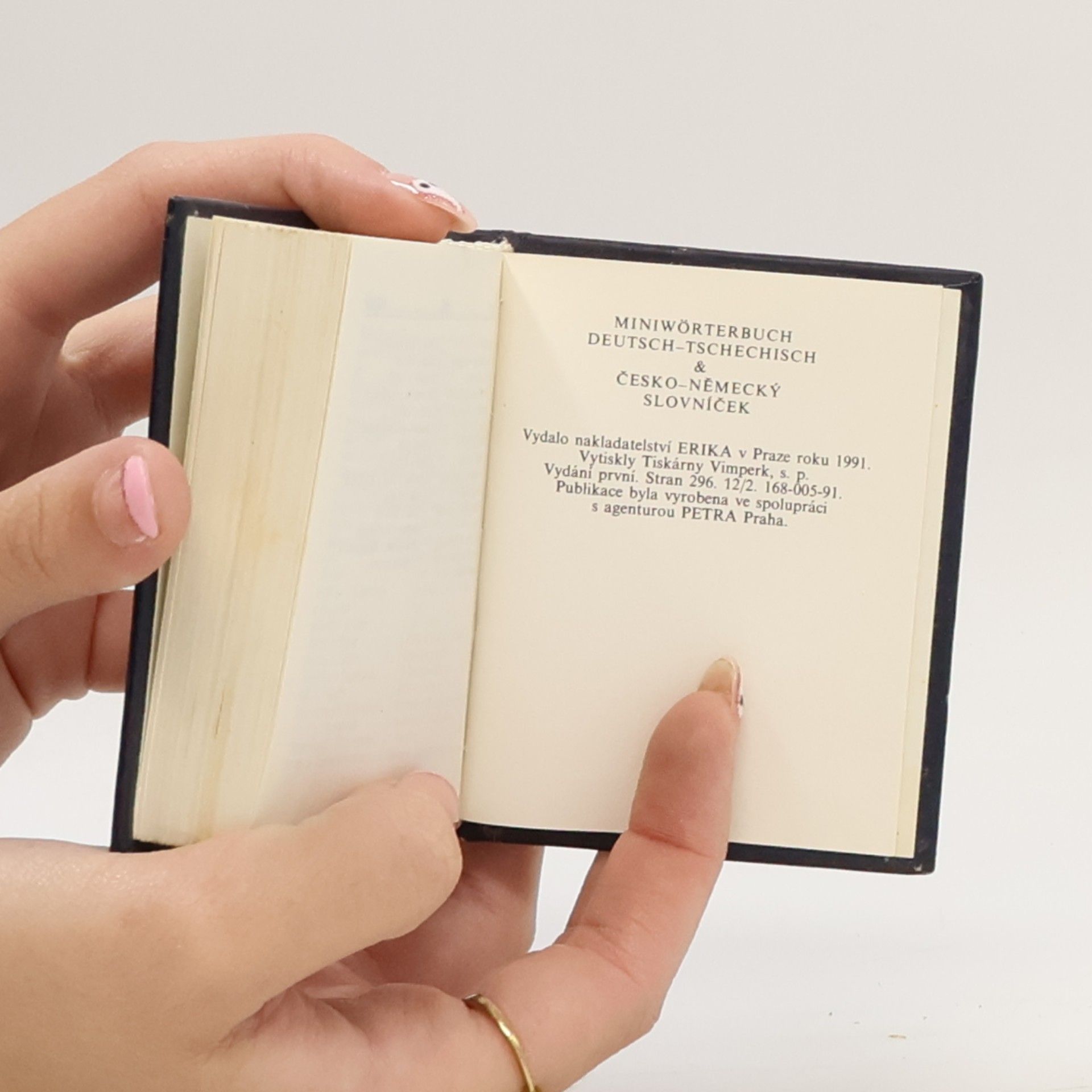 Collectif d'auteurs Miniwörterbuch deutsch-tschechisch & česko-německý slovníček