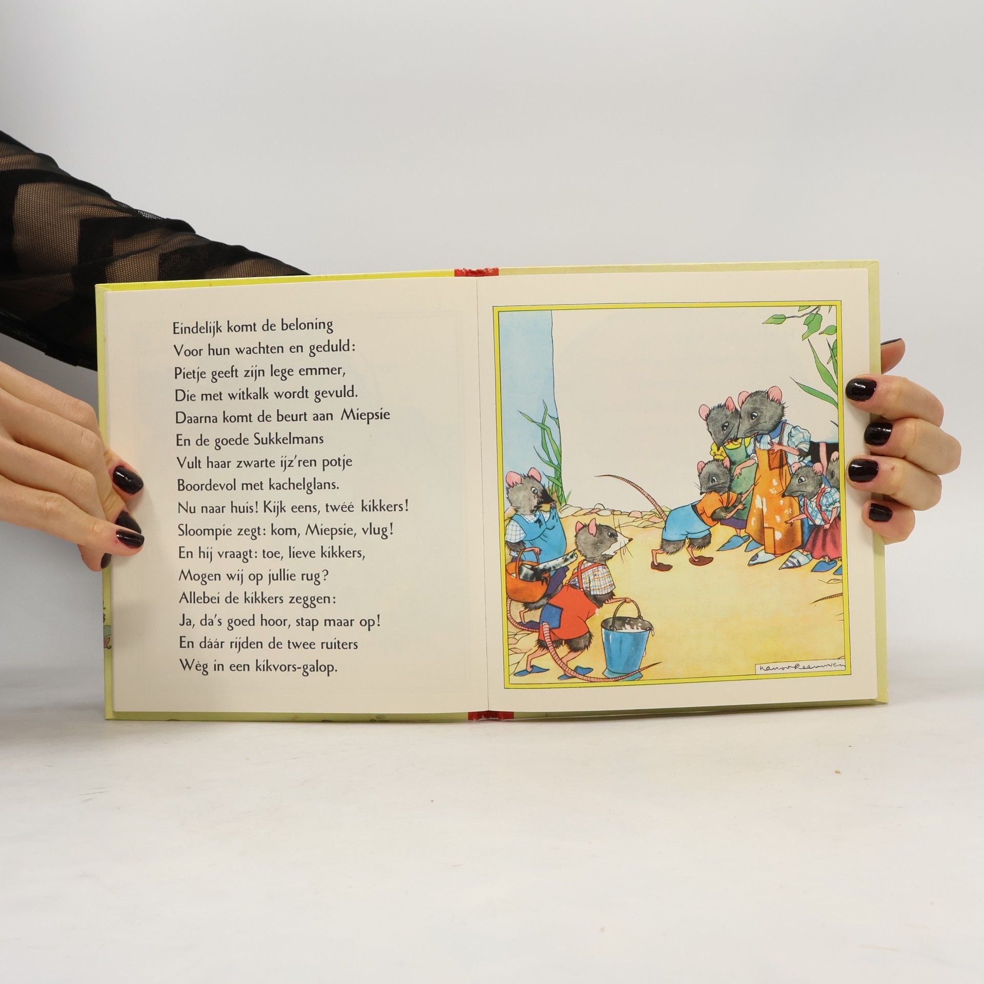 Kolektiv autorů Het Muizenboek
