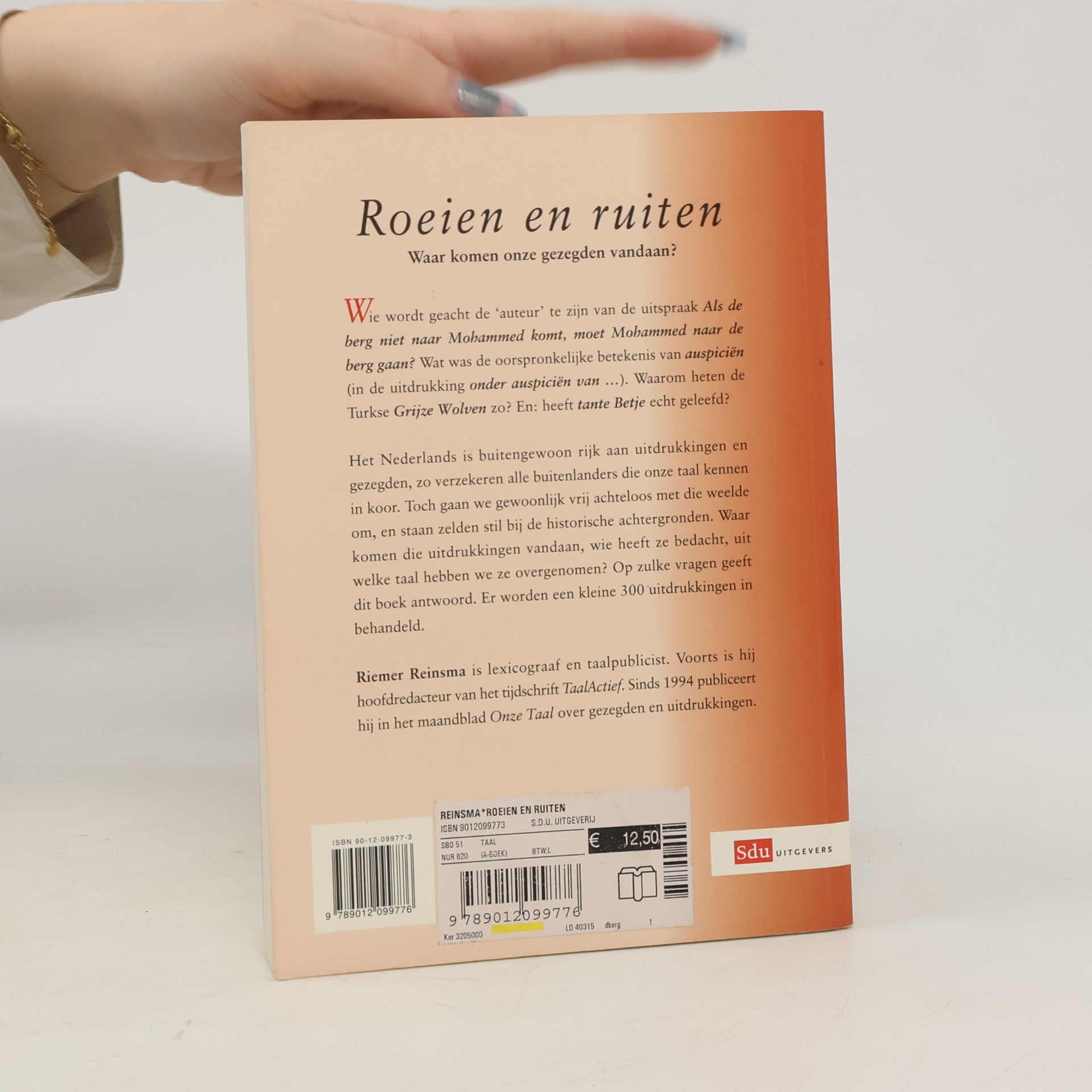Riemer Reinsma Roeien en ruiten