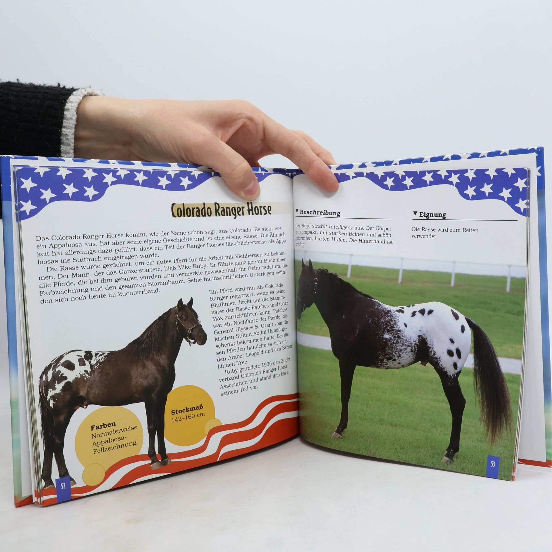 Various authors American Horses