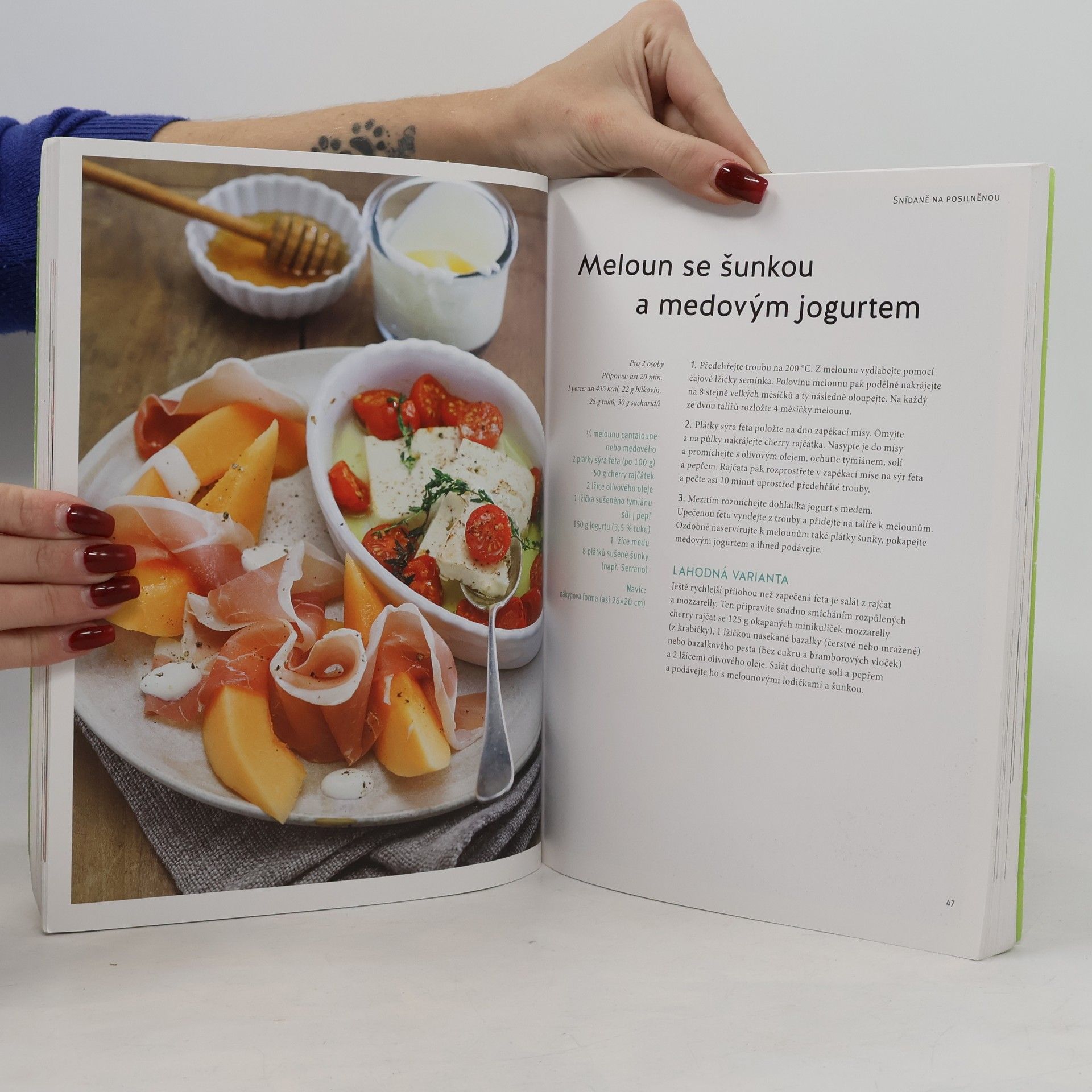Nico Stanitzok Low Carb: Rychlé recepty pro všední den